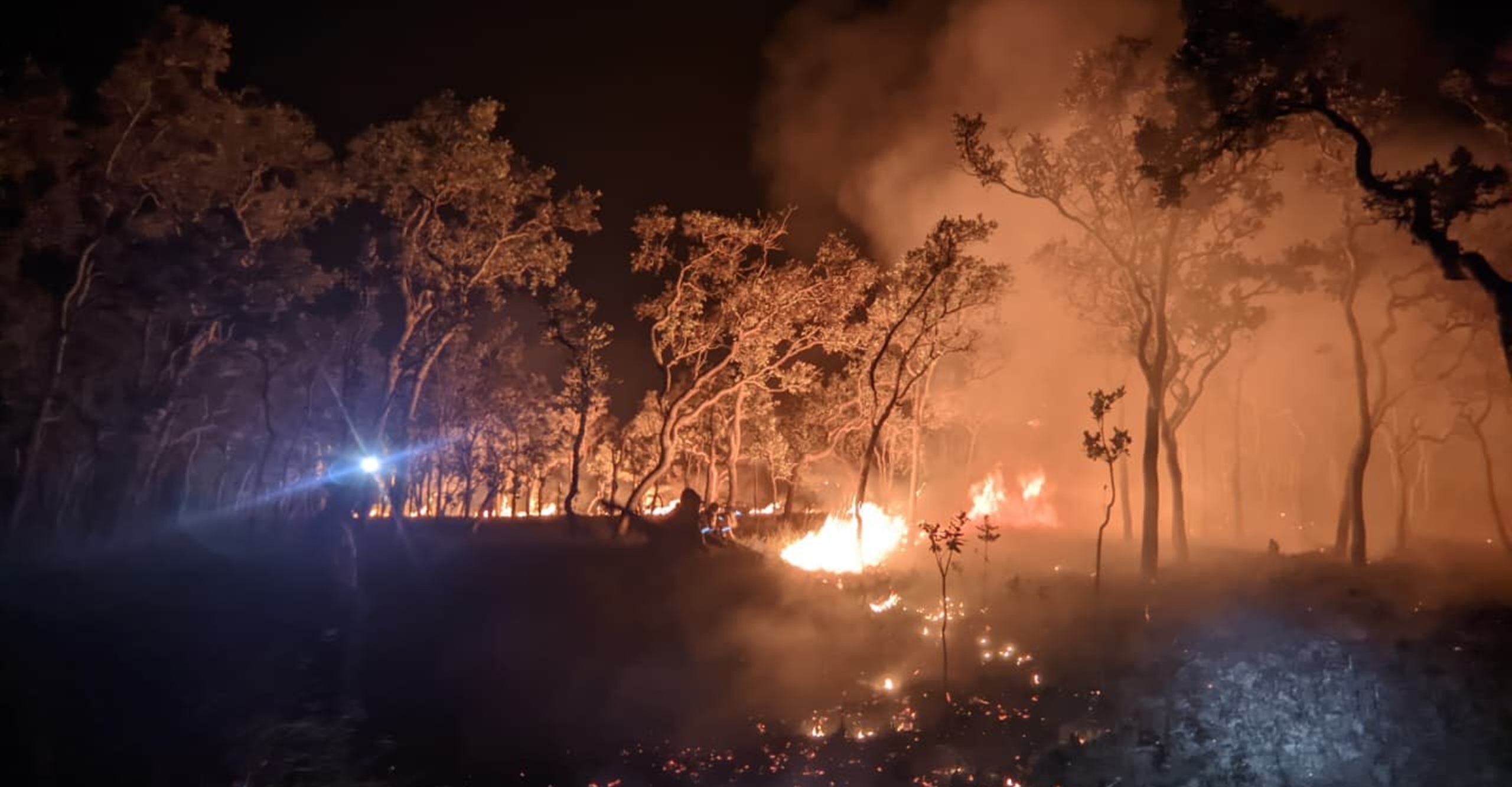 Continúa atención de incendio forestal en zona rural de Cravo Norte, Arauca