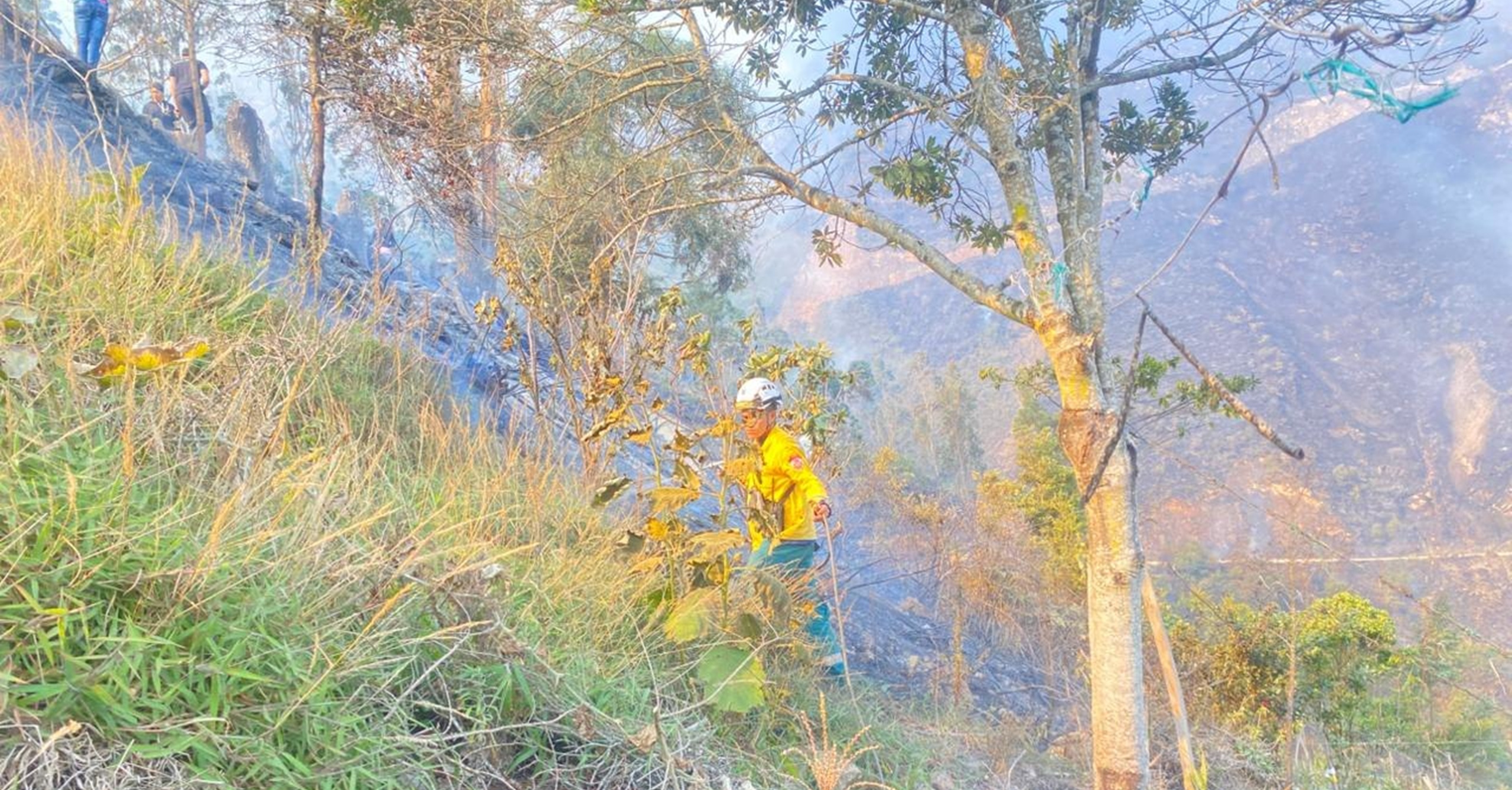 Incendio forestal en Gutiérrez, Cundinamarca, es controlado exitosamente