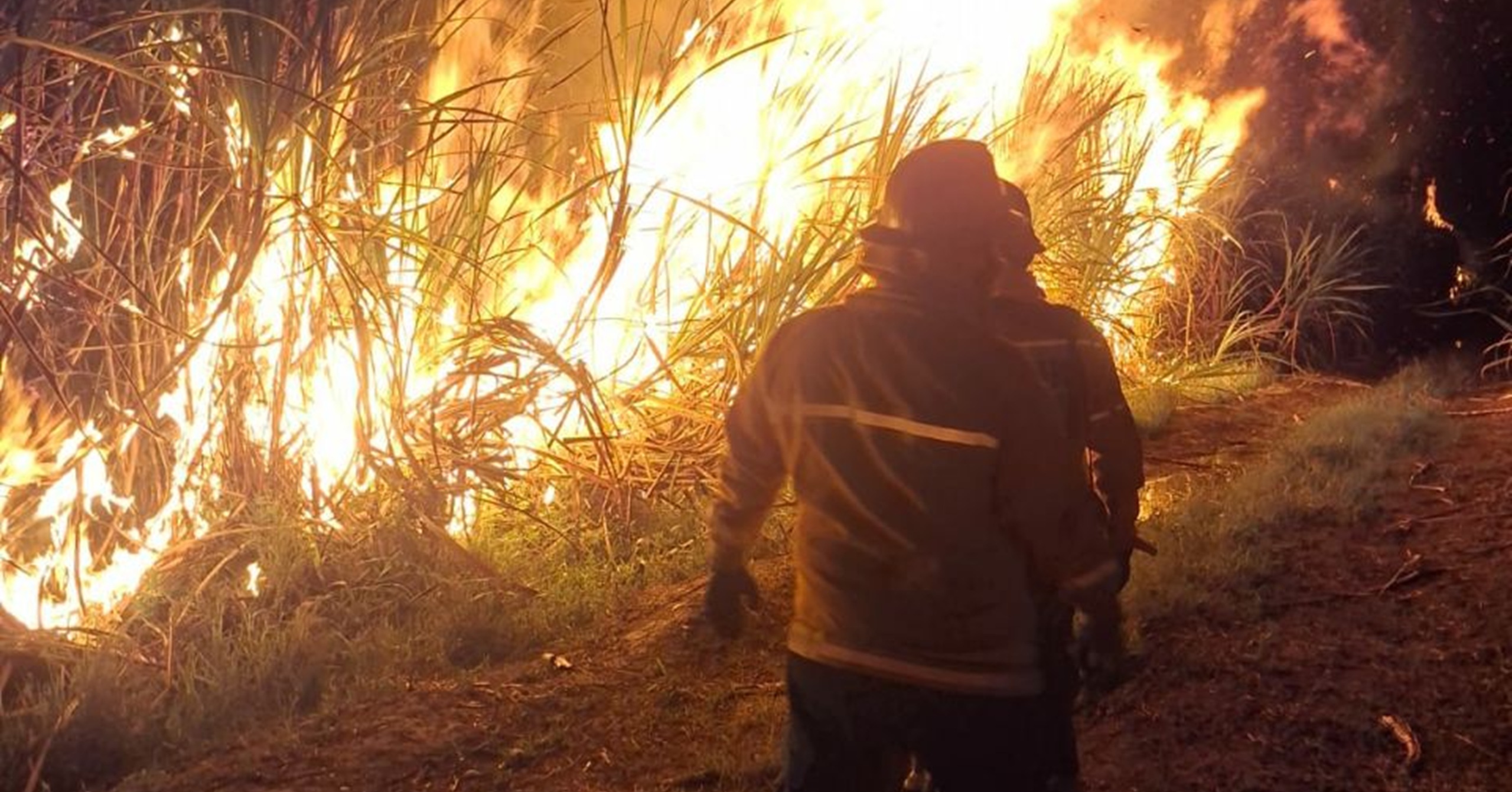 Incendio forestal en cultivo de caña fue controlado en Andalucía, Valle del Cauca