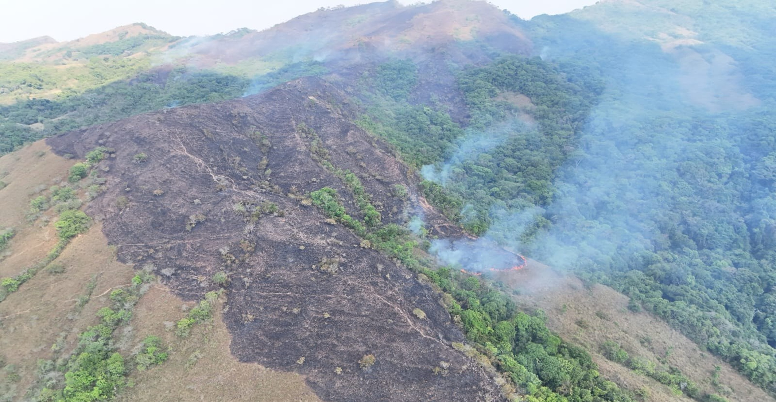 Incendio forestal en Yopal continúa activo y bajo monitoreo permanente