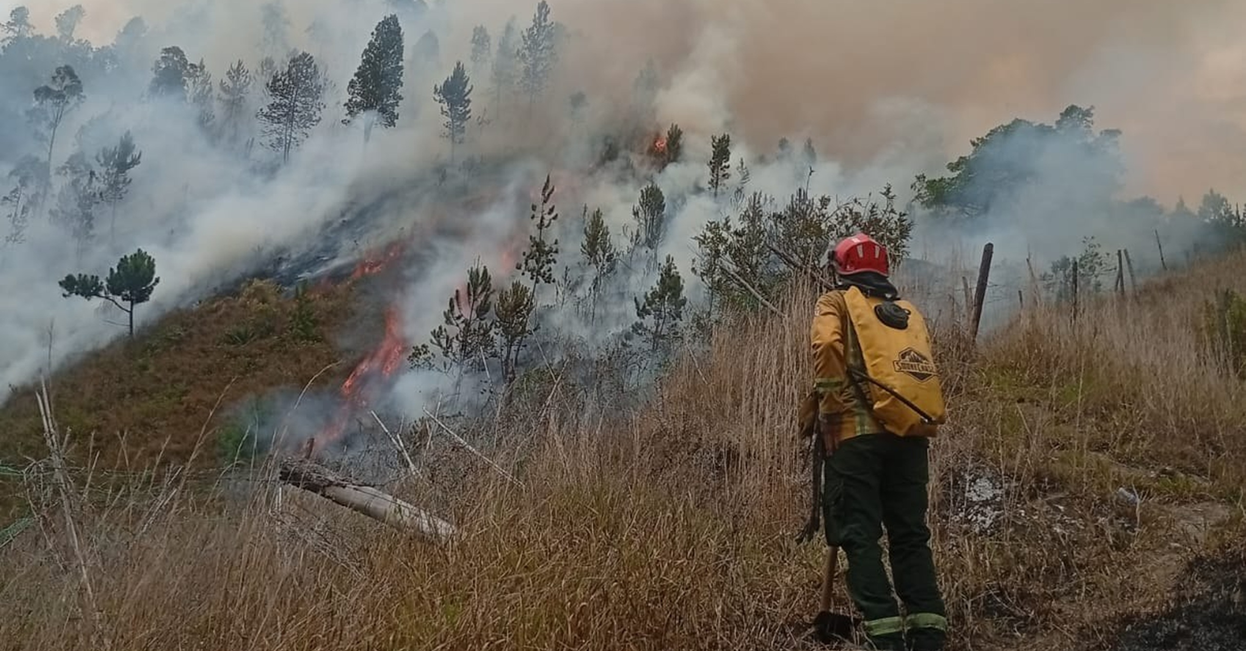 Incendio forestal de gran magnitud fue controlado tras más de 18 horas de operación en Boyacá