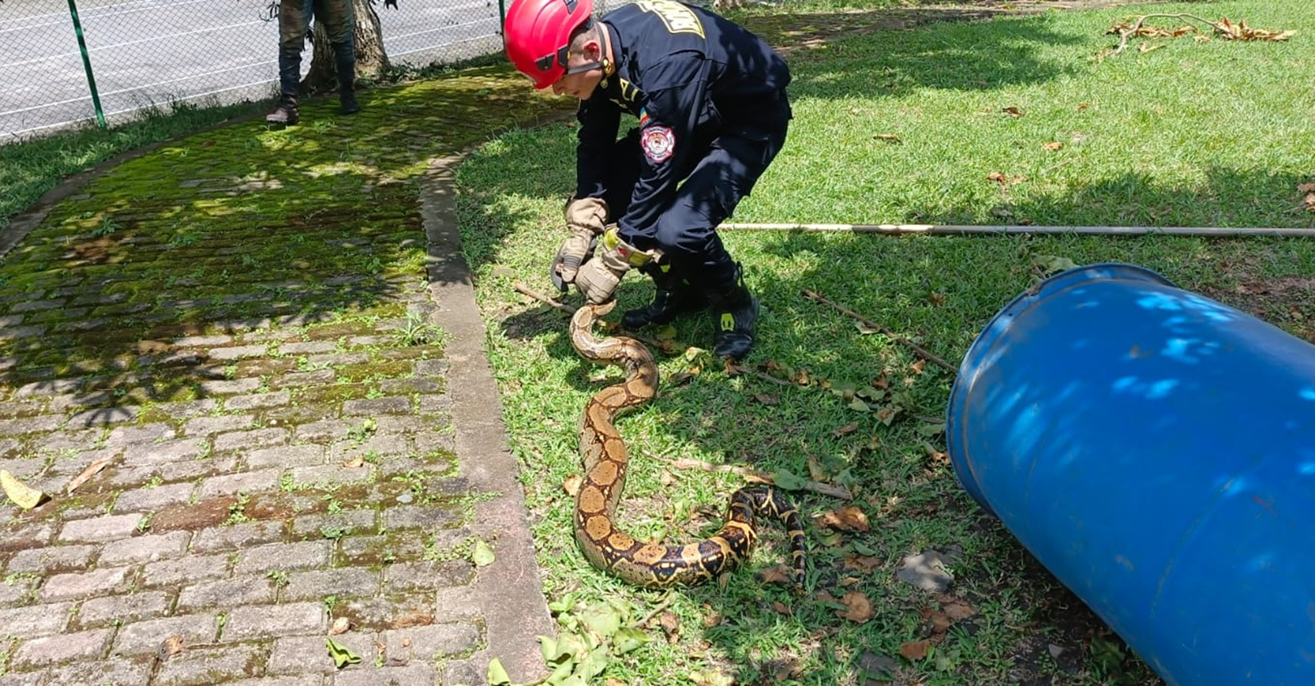 Rescate oportuno de animal en zona rural de La Mesa, Cundinamarca