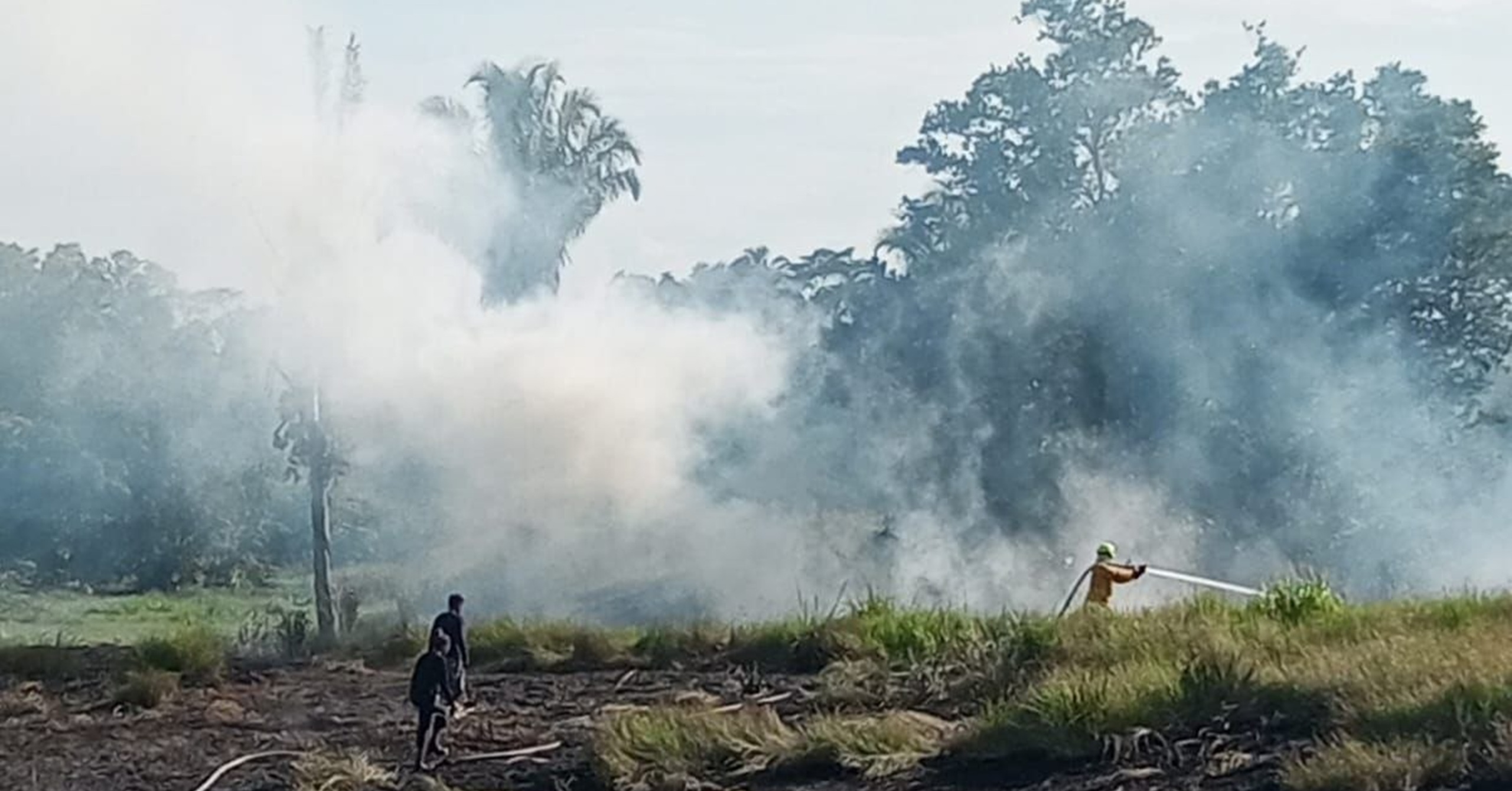 Incendio forestal en La Dorada, Caldas, fue controlado oportunamente por el Cuerpo de Bomberos