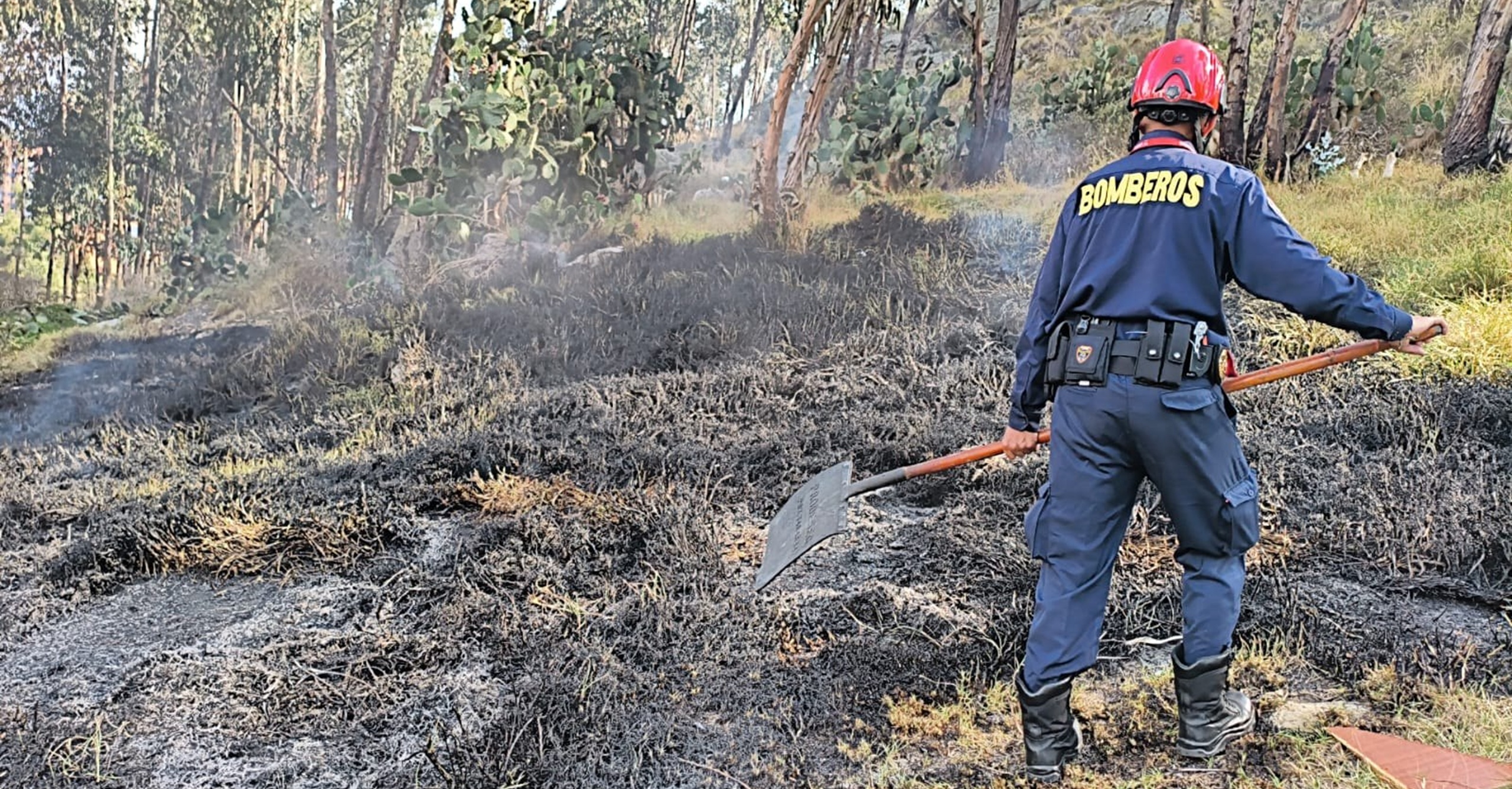 Autoridades controlan quema prohibida en zona de cobertura vegetal en Soacha