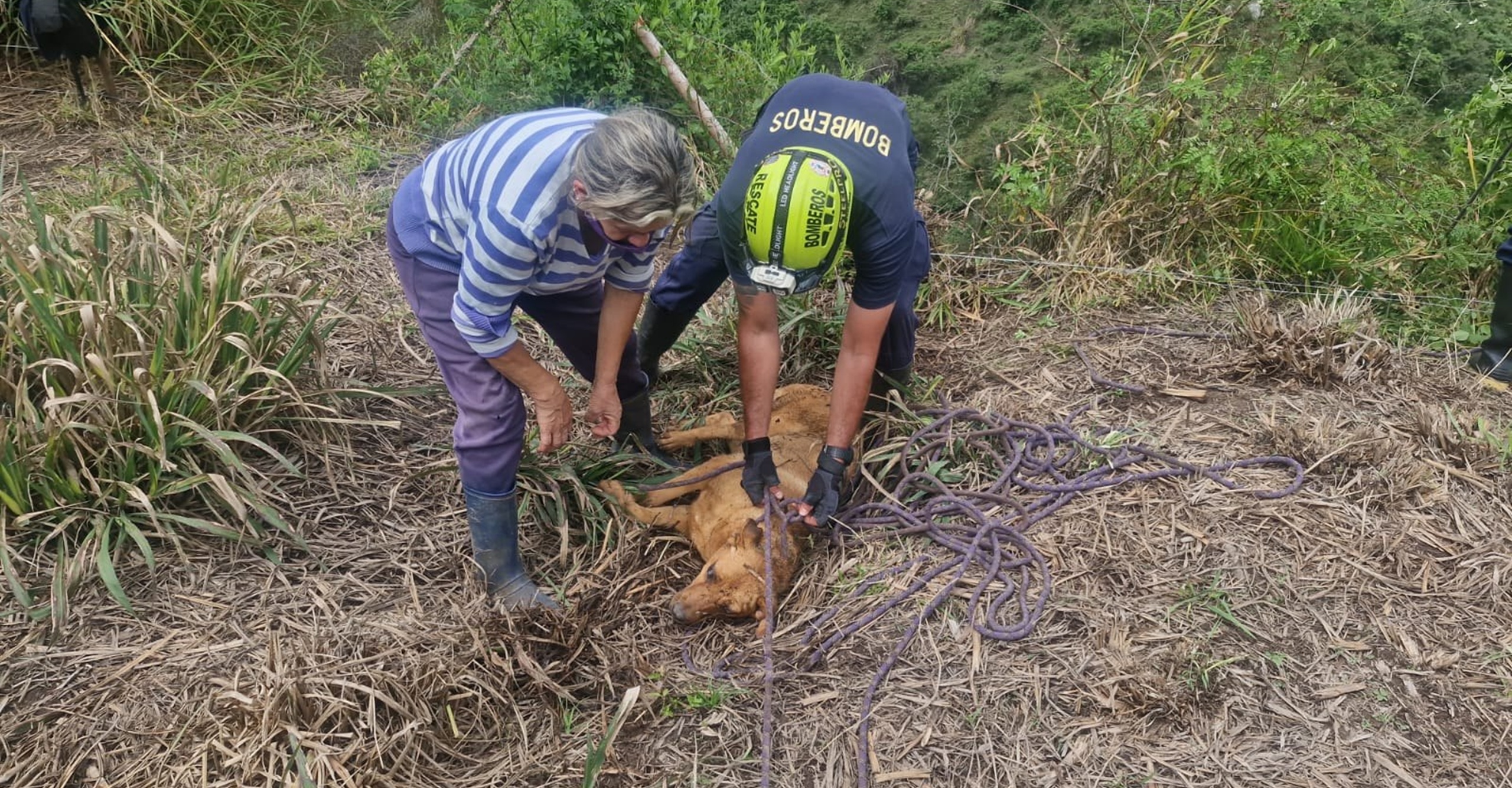 Bomberos de Pacho rescatan canino que cayó a un abismo en zona rural de Cundinamarca