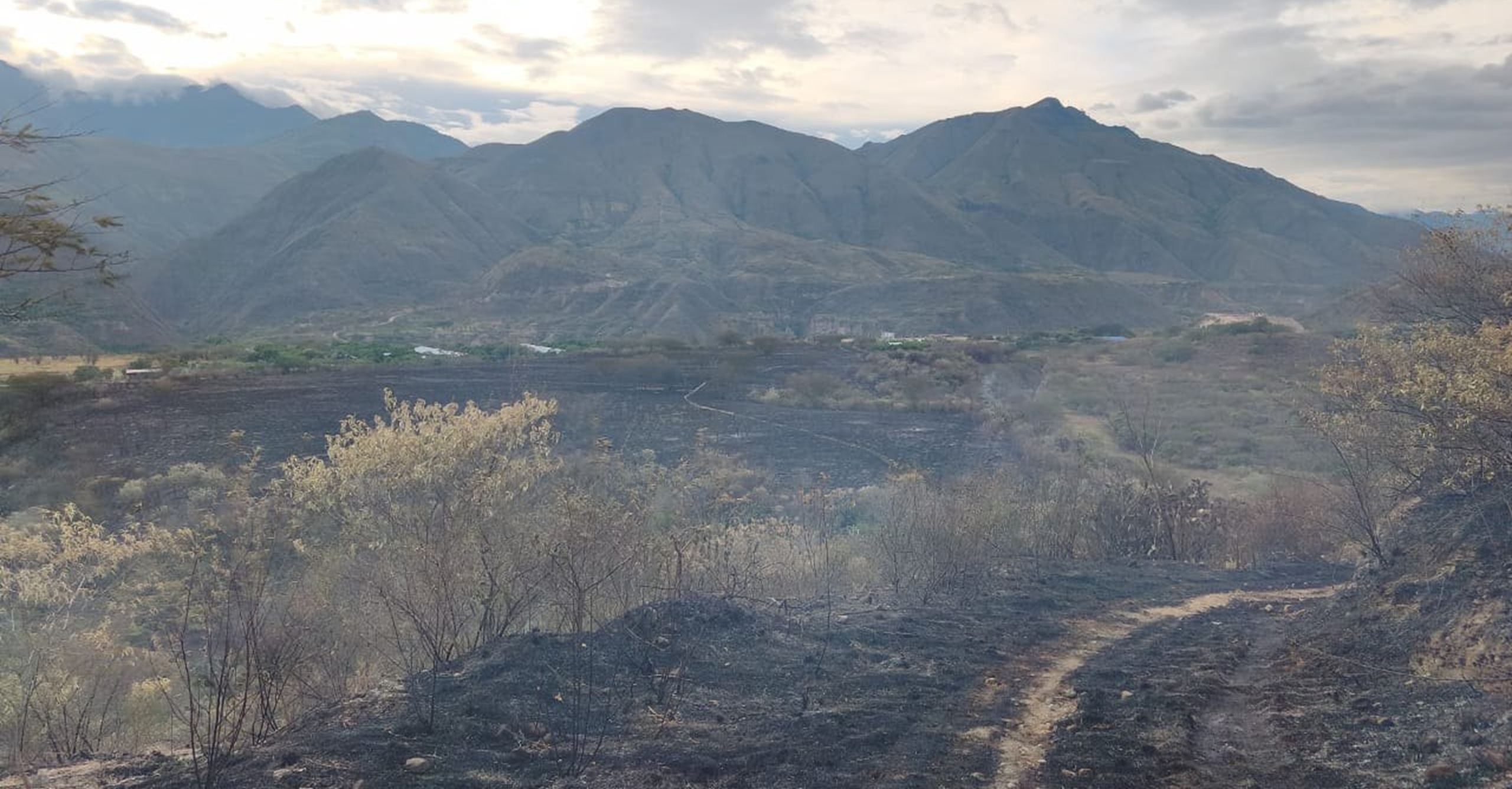 Incendio forestal en Mercaderes afectó 30 hectáreas de cultivos y vegetación