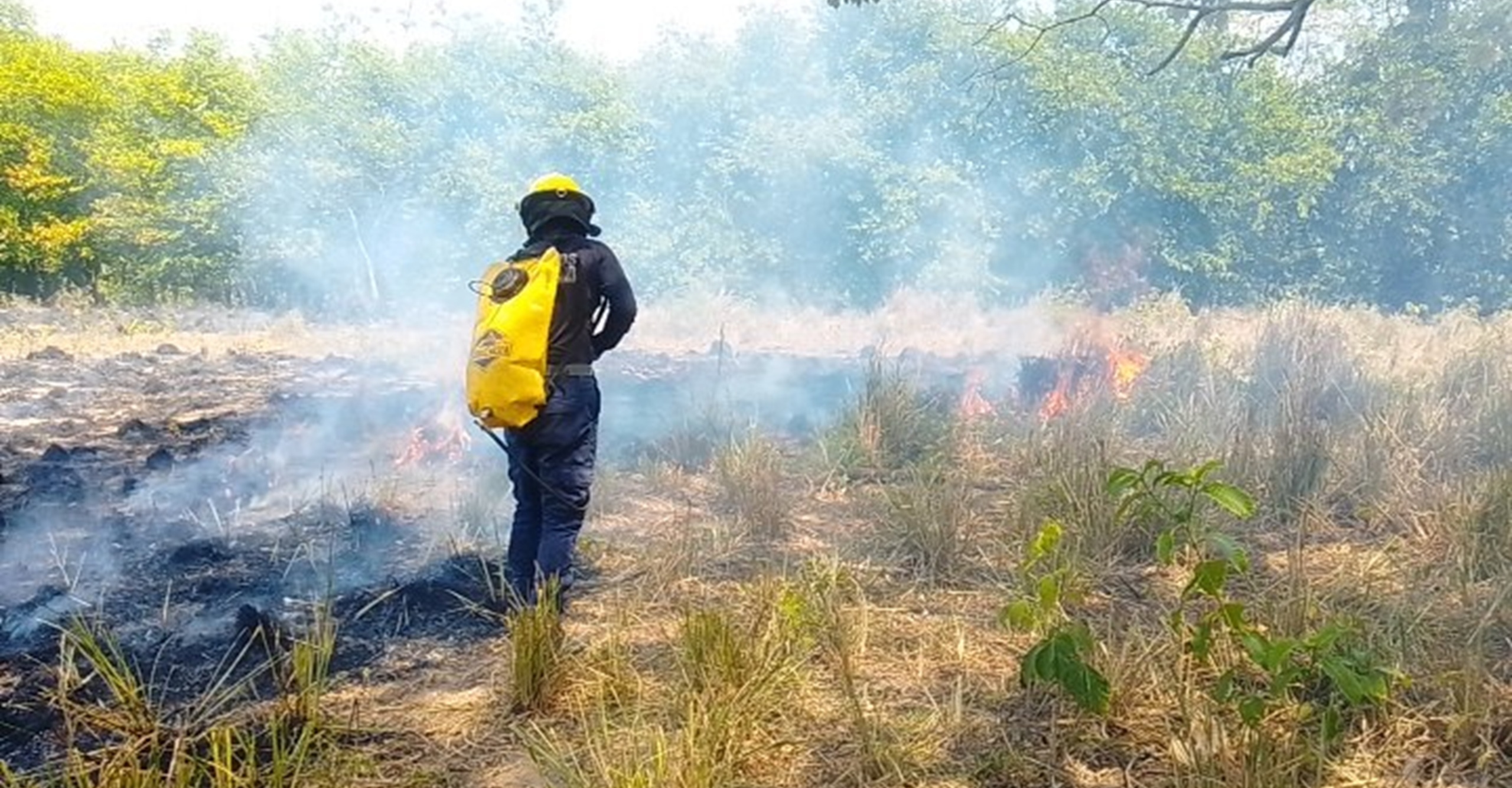 Bomberos de Baranoa liquidaron incendio forestal en la Hacienda Motahwa
