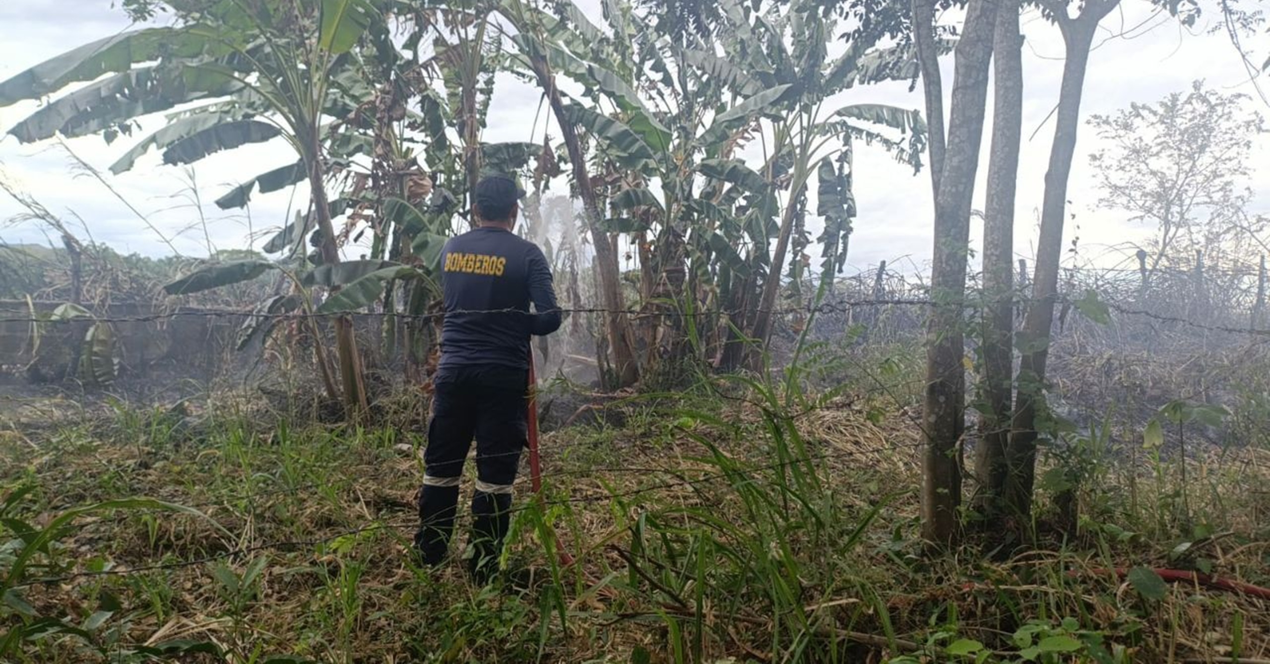 Bomberos evitaron propagación de incendio forestal en zona rural del municipio de Piedras, Tolima