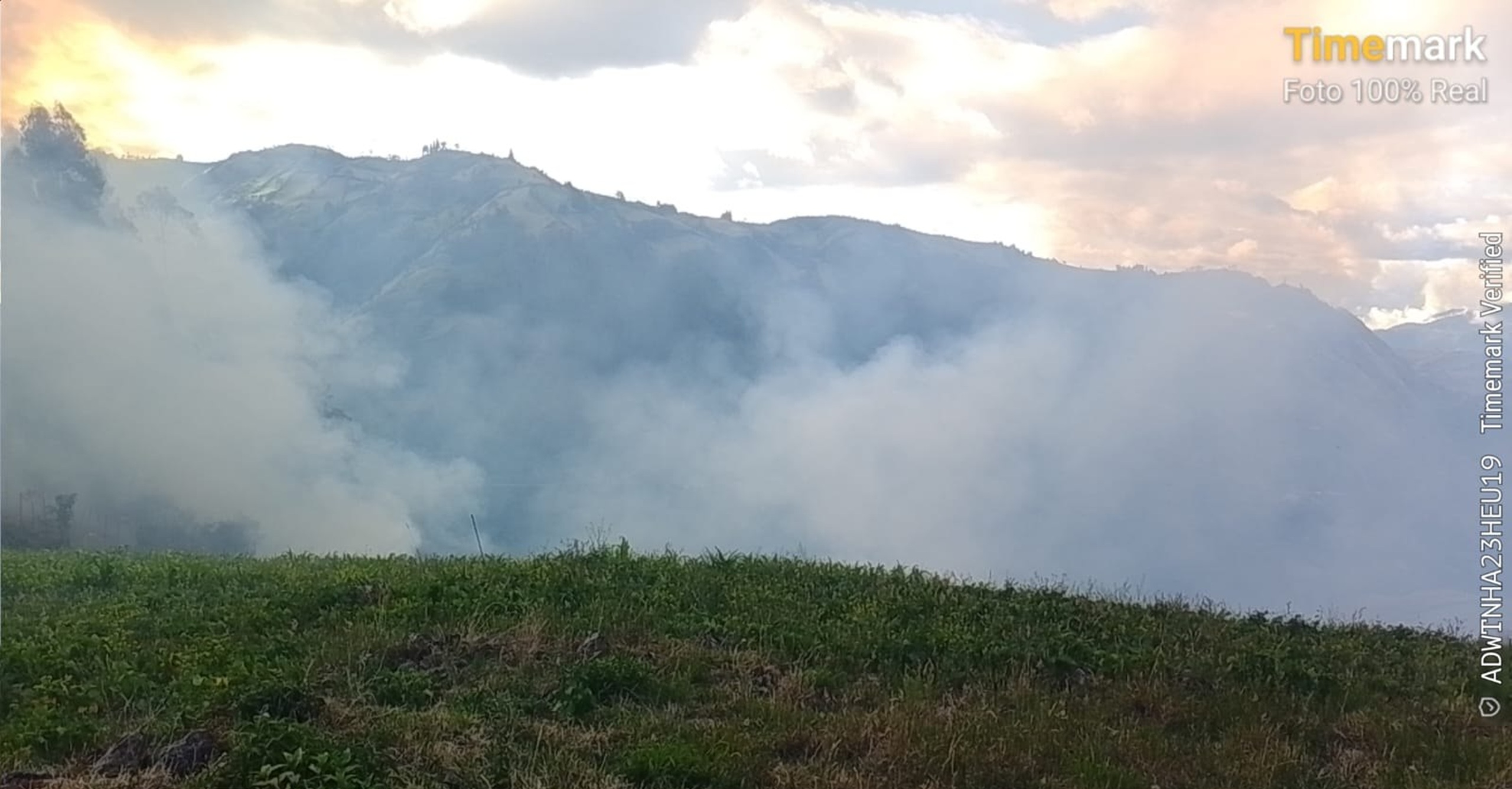 Incendio forestal en Puerres supera las 60 hectáreas afectadas y se encuentra controlado en un 95 %