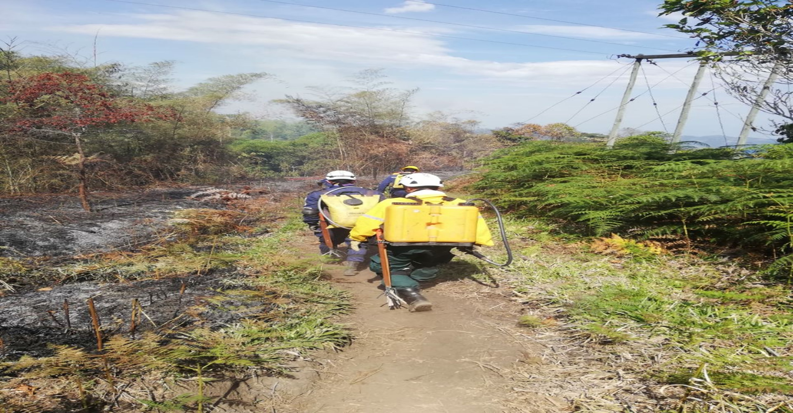Bomberos del Líbano liquidan incendio forestal que afectó cobertura vegetal y flora nativa en zona rural del Tolima