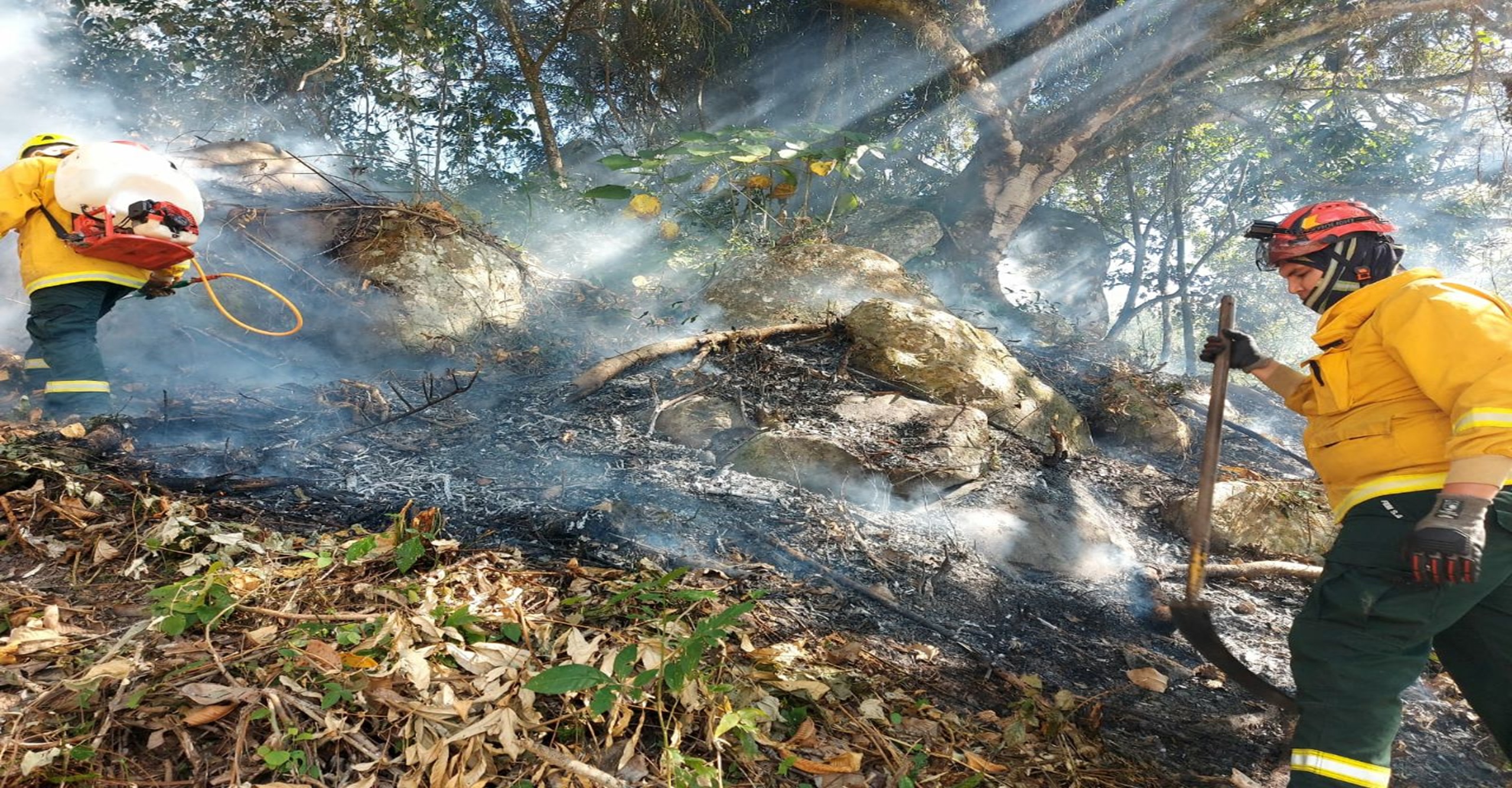 Bomberos de Viotá controlan incendio forestal y evitan su propagación en zona rural