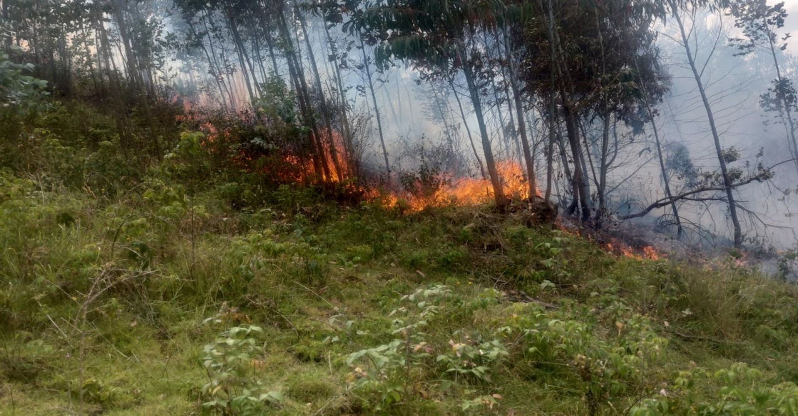 Organismos de socorro liquidan incendio forestal que afectó tres hectáreas en zona rural de Silvania