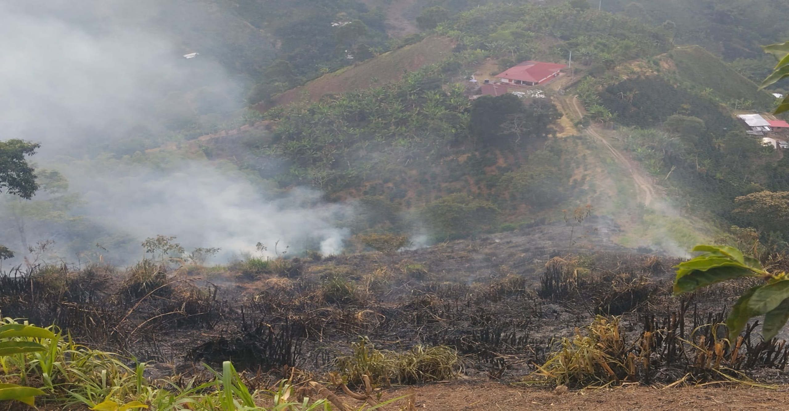 Bomberos de Villahermosa y comunidad logran liquidar incendio forestal en zona rural del Tolima