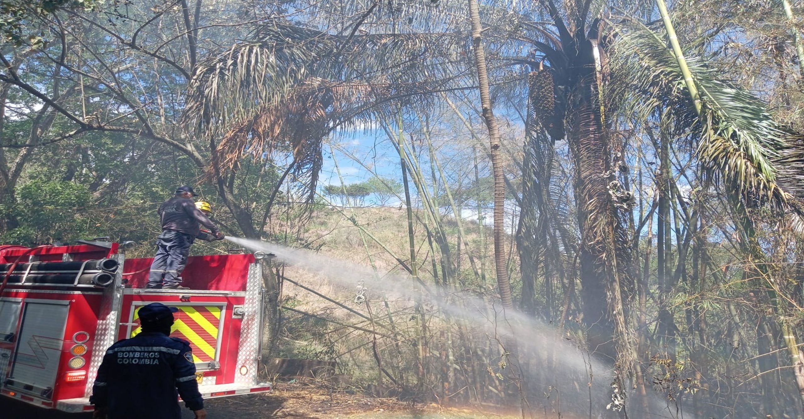 Bomberos de San Luis lograron liquidar incendio forestal que afectó cuatro hectáreas en zona rural del Tolima