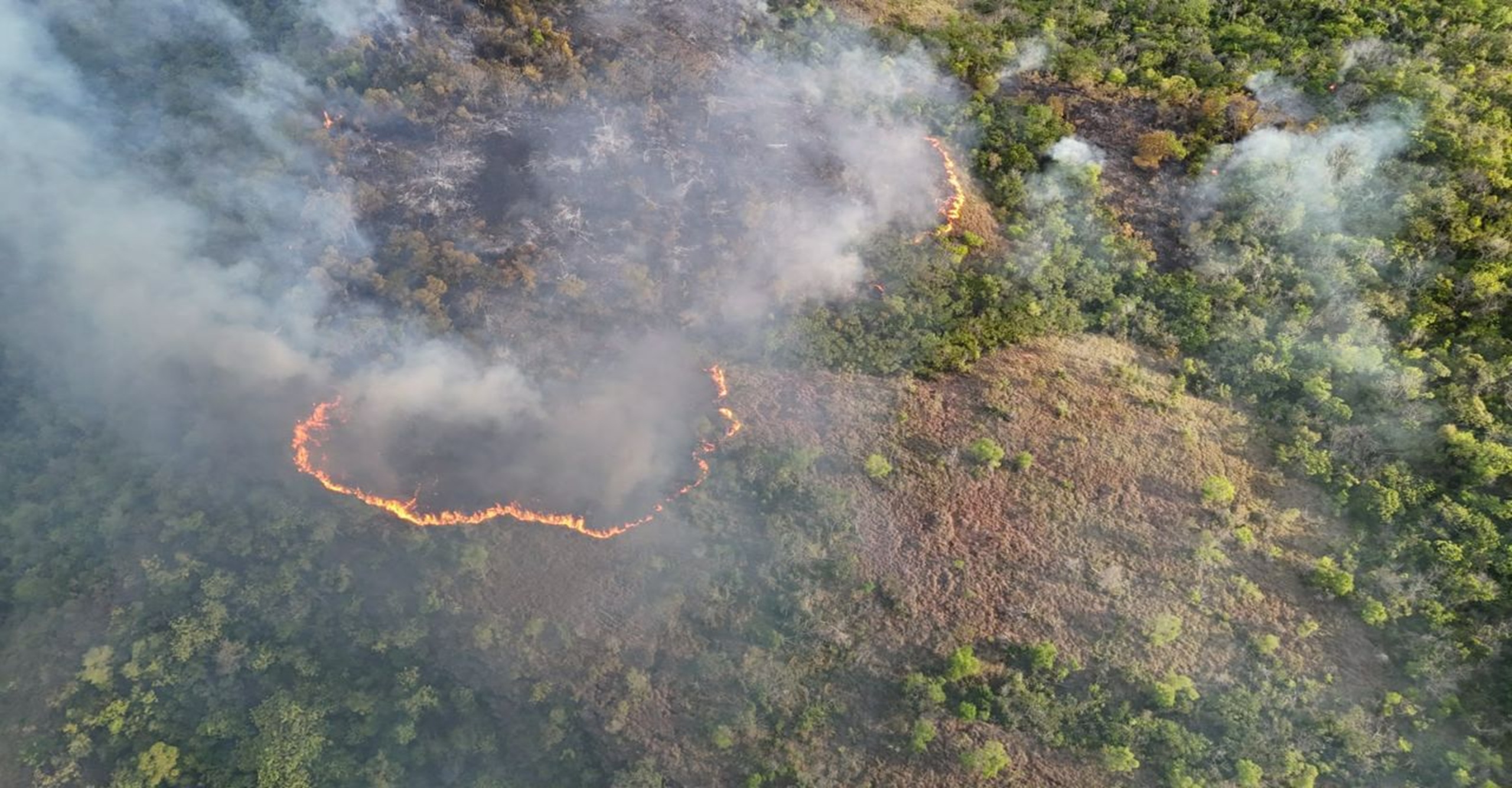 Bomberos de Carmen de Apicalá concentran esfuerzos en proteger viviendas ante incendio forestal activo en zona rural del Tolima