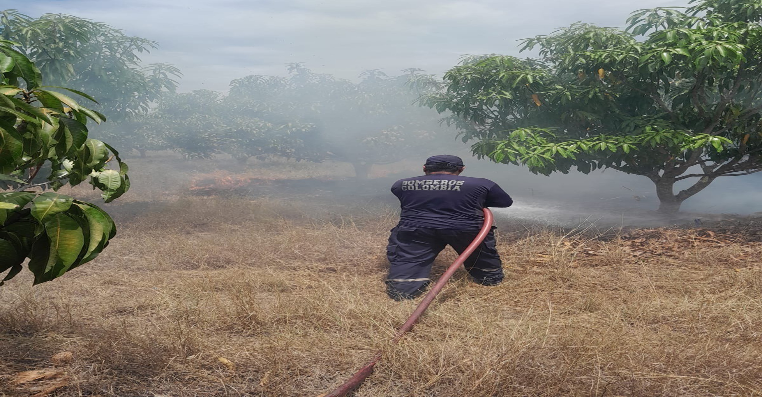 Bomberos de Saldaña liquidan incendio forestal que afectó 33 hectáreas en zona rural del Tolima