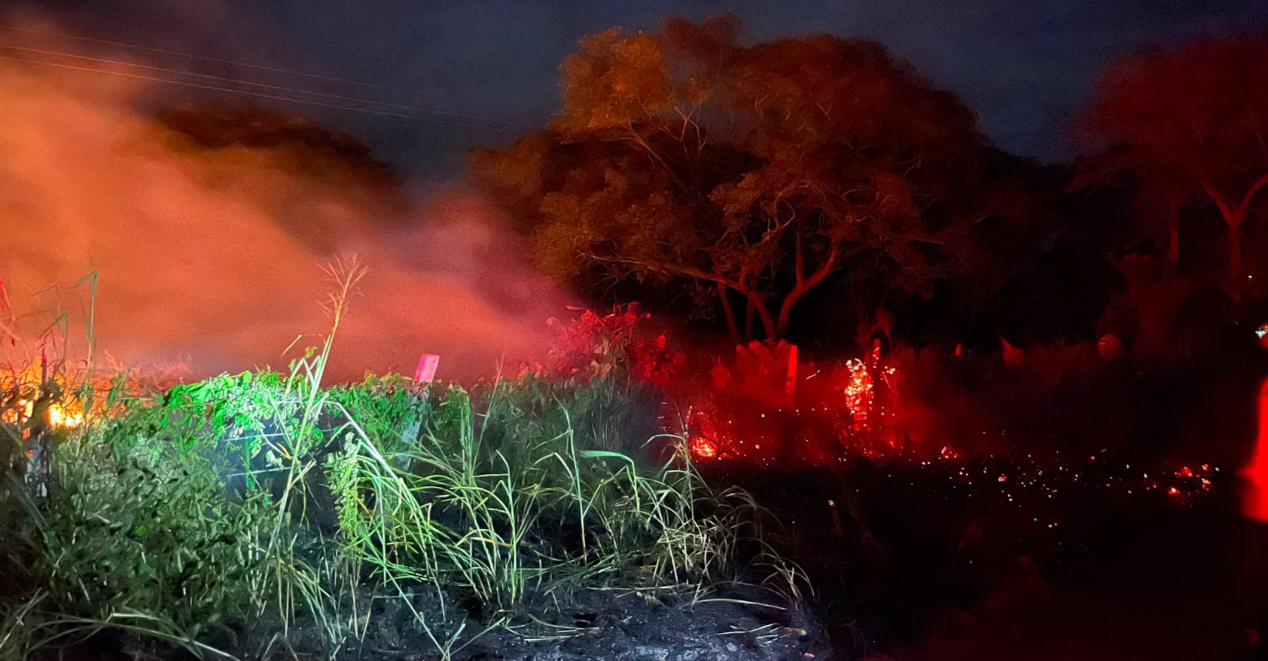 Bomberos de San Luis y El Guamo controlan incendio forestal en límites municipales del Tolima