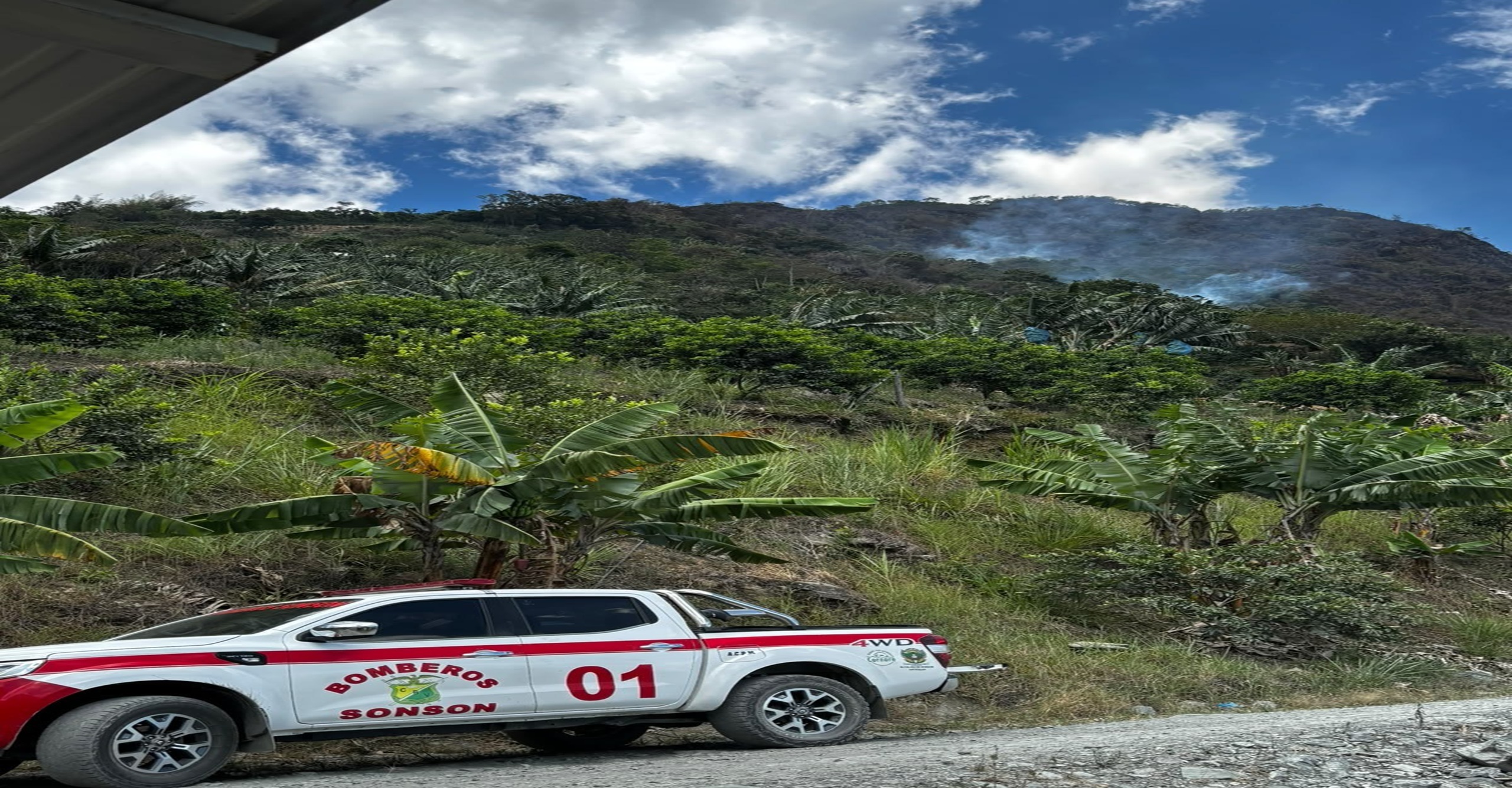 Bomberos de Sonsón logran controlar en un 80 % incendio forestal en zona rural de Antioquia