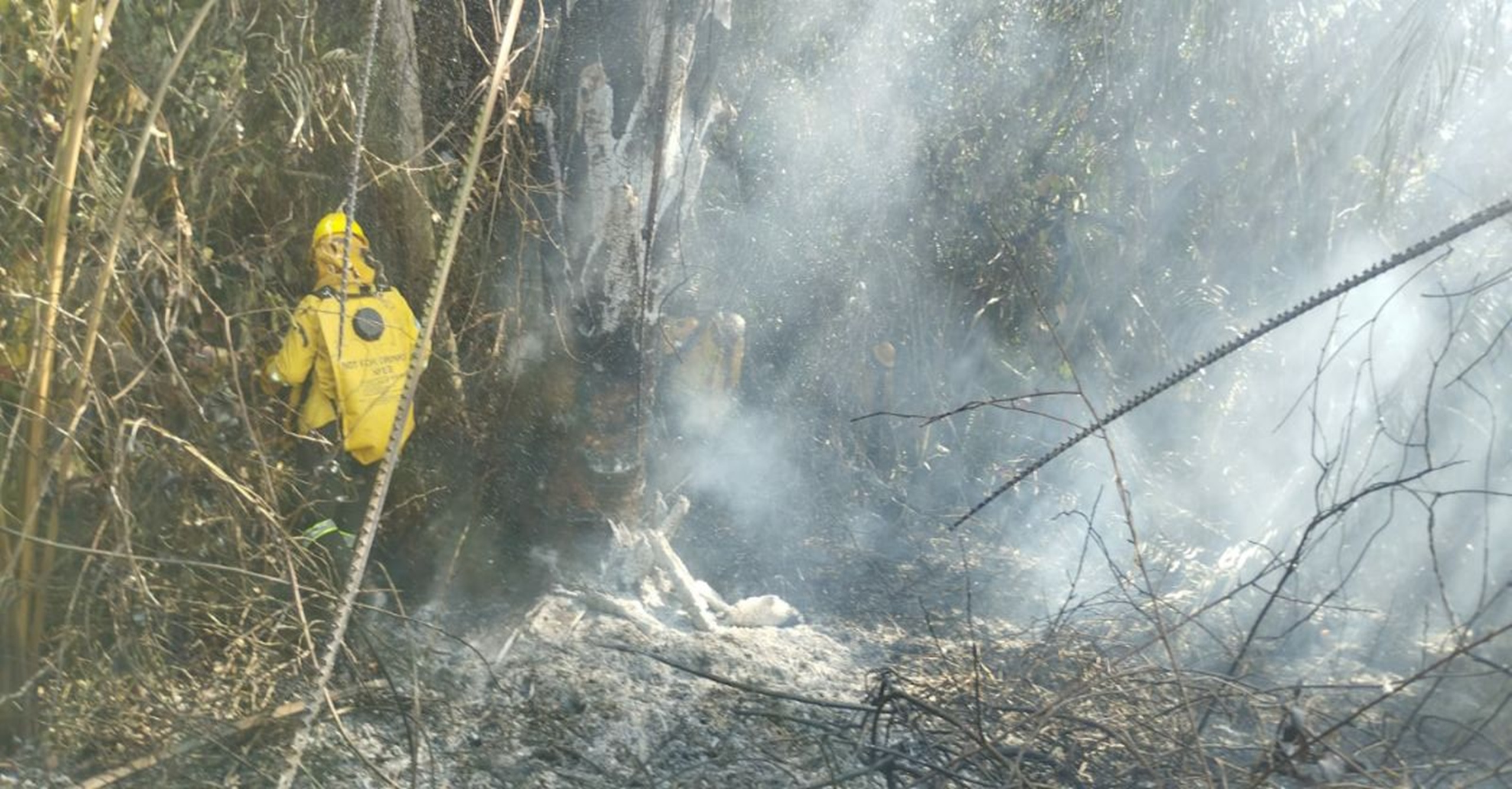 Bomberos de Ortega liquidan incendio forestal que afectó 15 hectáreas de cobertura vegetal en el Tolima