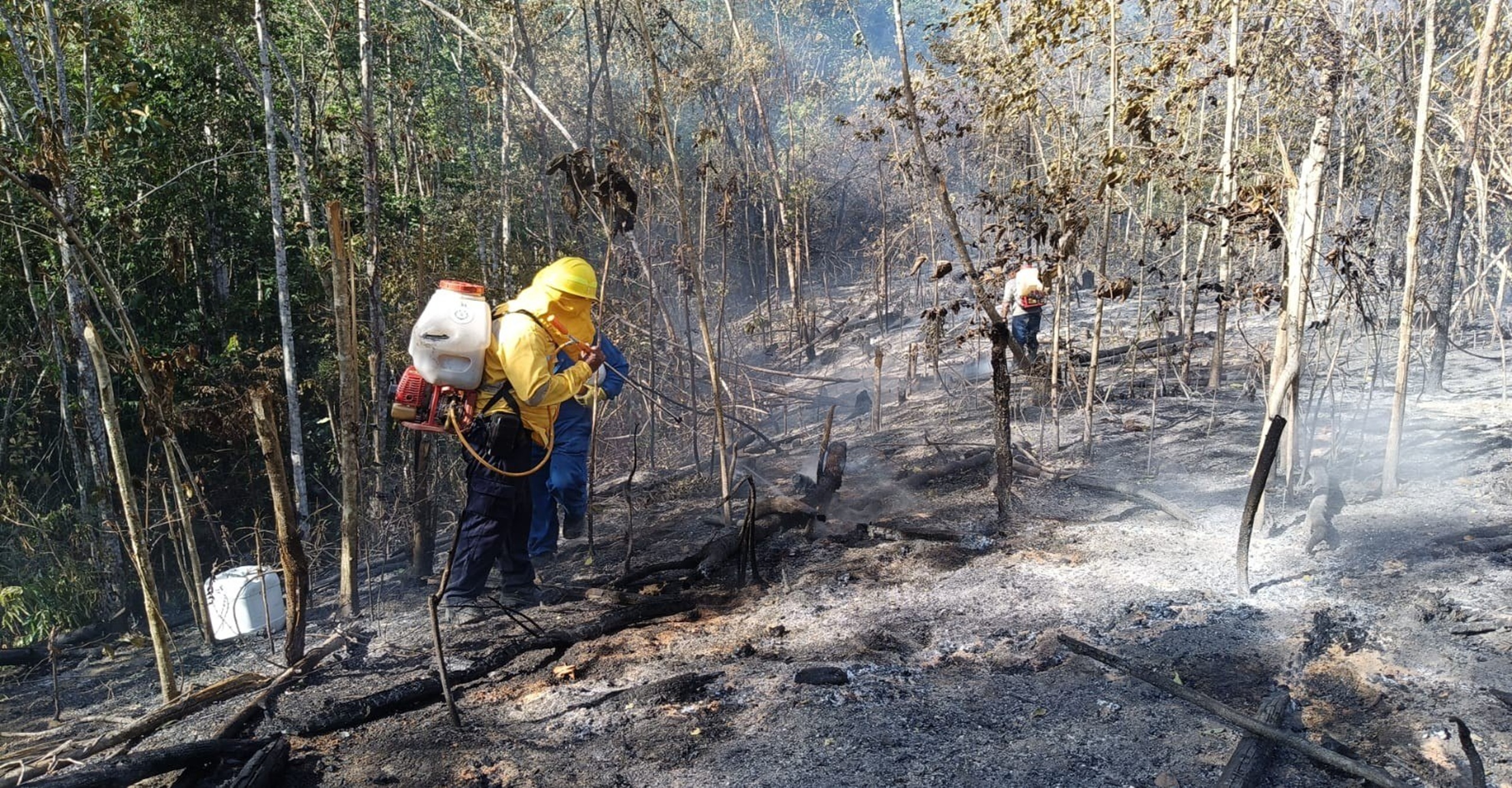 Bomberos de Sardinata liquidan incendio forestal que afectó cerca de 500 hectáreas en el Cerro de Las Brujas