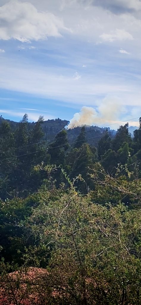 Vista panorámica del sector Alto de los Caballeros, donde se observa una columna de humo elevándose desde la zona boscosa afectada por el incendio forestal.