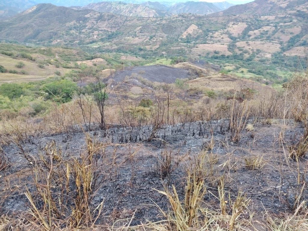 Vista panorámica de la zona rural, con extensas áreas de vegetación quemada tras el incendio forestal.
