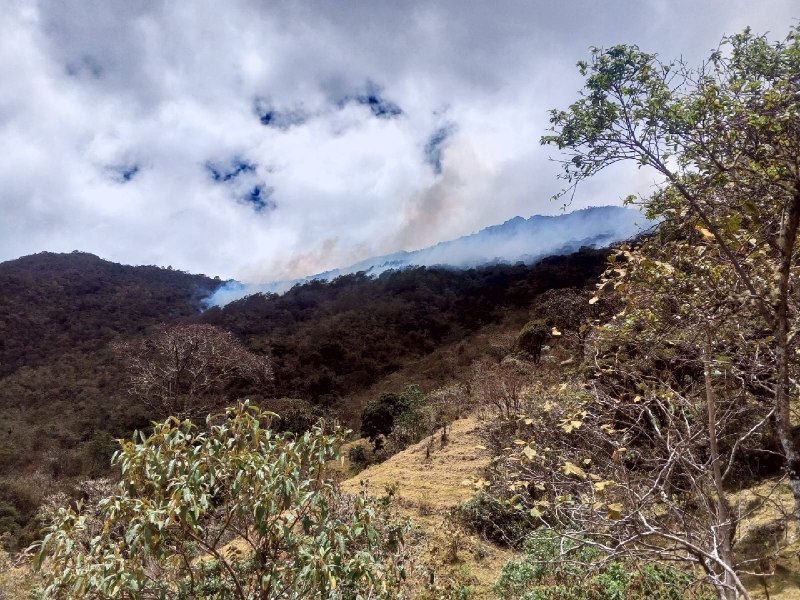 Vista de una de las laderas afectadas por el incendio forestal, donde se observa vegetación quemada y presencia de humo en la zona montañosa.