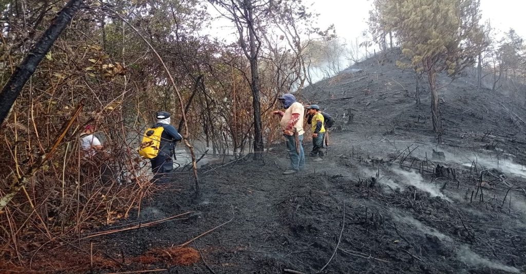 Personal bomberil realiza labores de control en una ladera con vegetación quemada y presencia de humo.