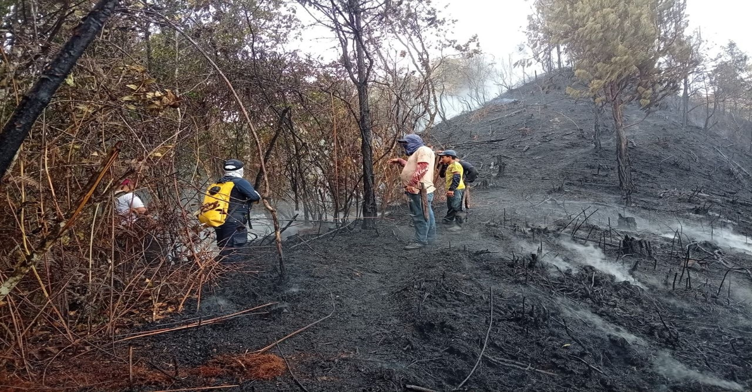 Bomberos de El Pital contuvieron incendio y protegieron bosque que abastece el acueducto de El Socorro