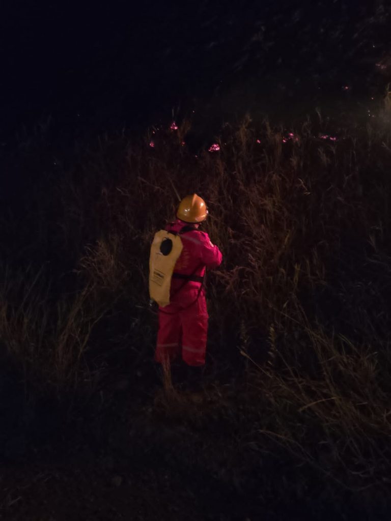 Unidad bomberil realiza labores nocturnas de control y extinción sobre focos de fuego presentes entre la vegetación de la zona afectada.