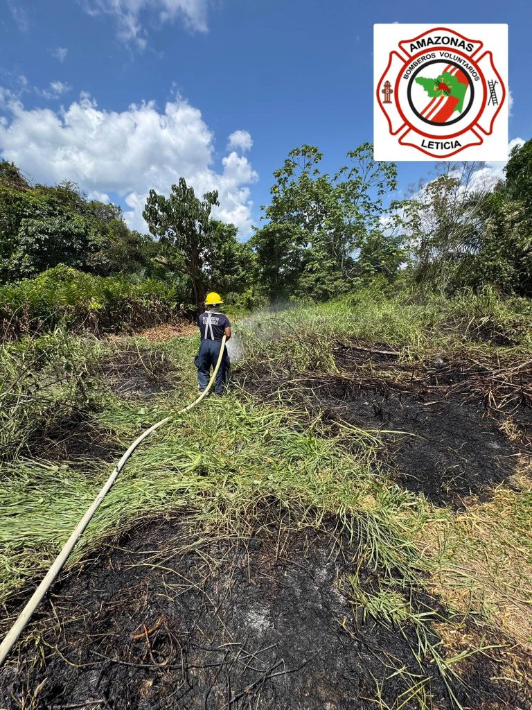 Bombero realiza labores de enfriamiento en una zona de vegetación quemada.