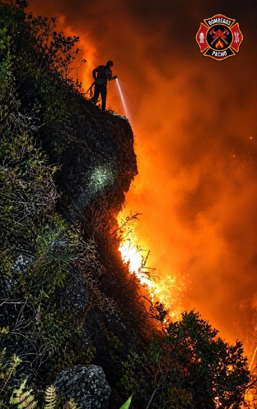 Llamas de gran intensidad consumen la vegetación de una ladera durante el incendio forestal.