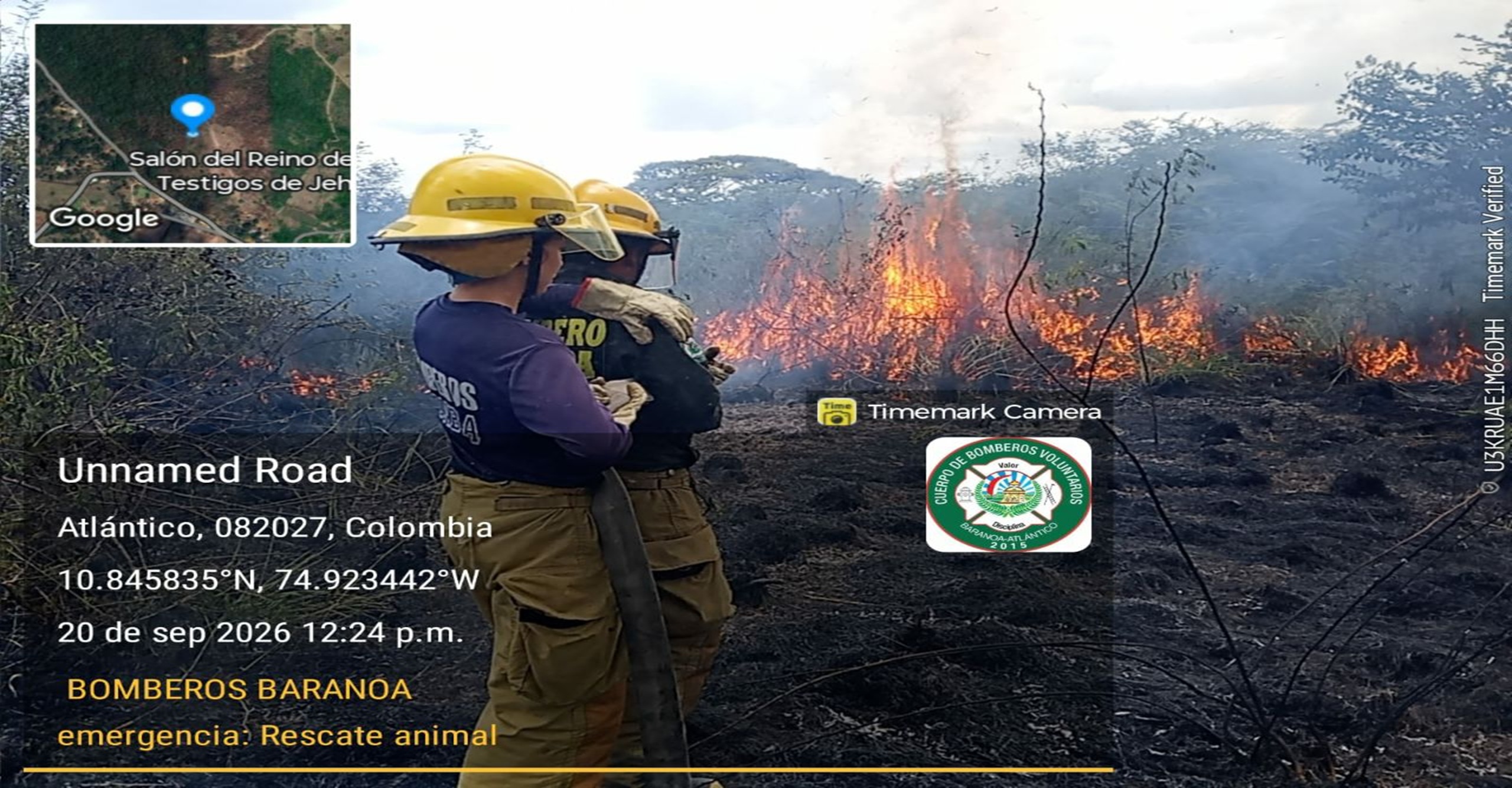 Bomberos de Baranoa liquidaron incendio forestal en el sector Pital de Megua