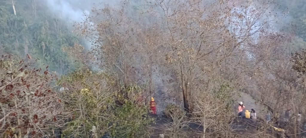 Unidades bomberiles realizan labores de control entre vegetación seca y humo.