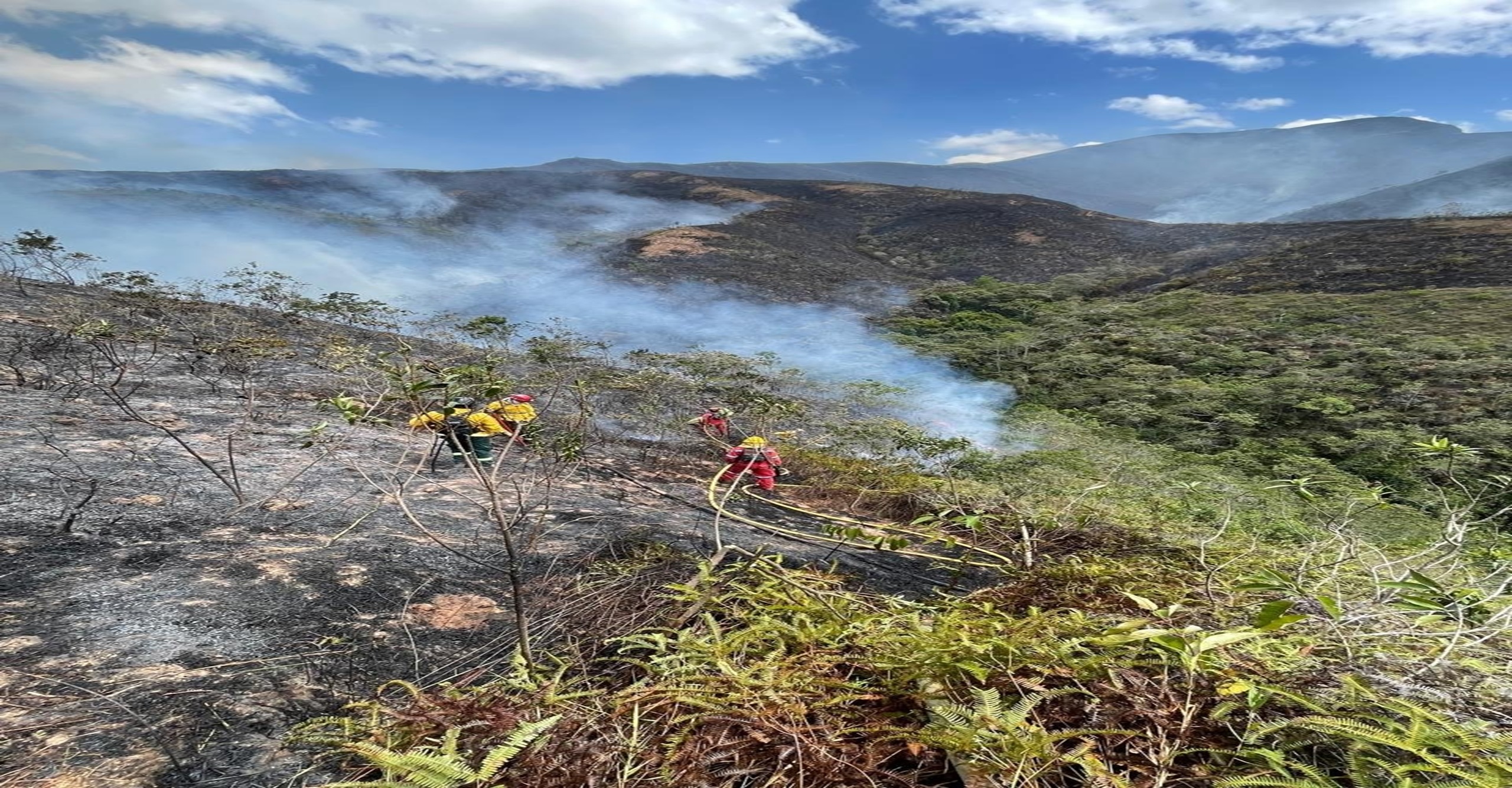 Operación conjunta permitió liquidar incendio forestal en zona rural de Ábrego