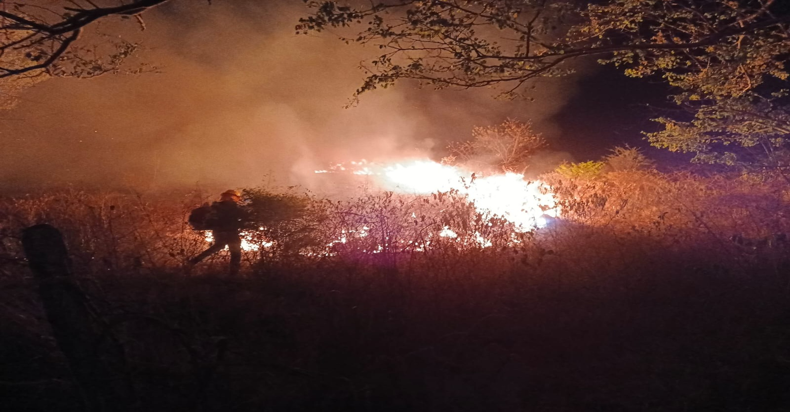 Bomberos liquidaron incendio forestal en la vía Tesalia–Neiva