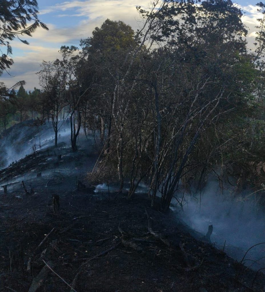 Vista del área afectada por el incendio, con suelo ennegrecido, ramas quemadas y humo entre los árboles.