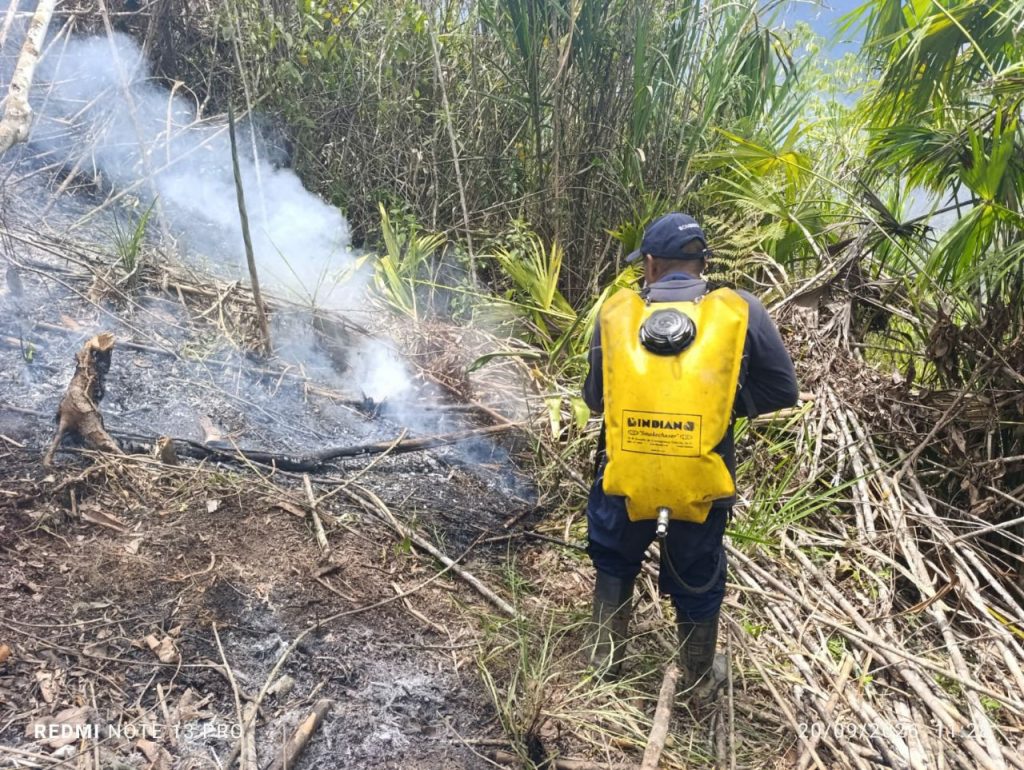 Llamas consumen la cobertura vegetal y avanzan entre árboles y matorrales durante el incendio registrado en la vereda La Tola.