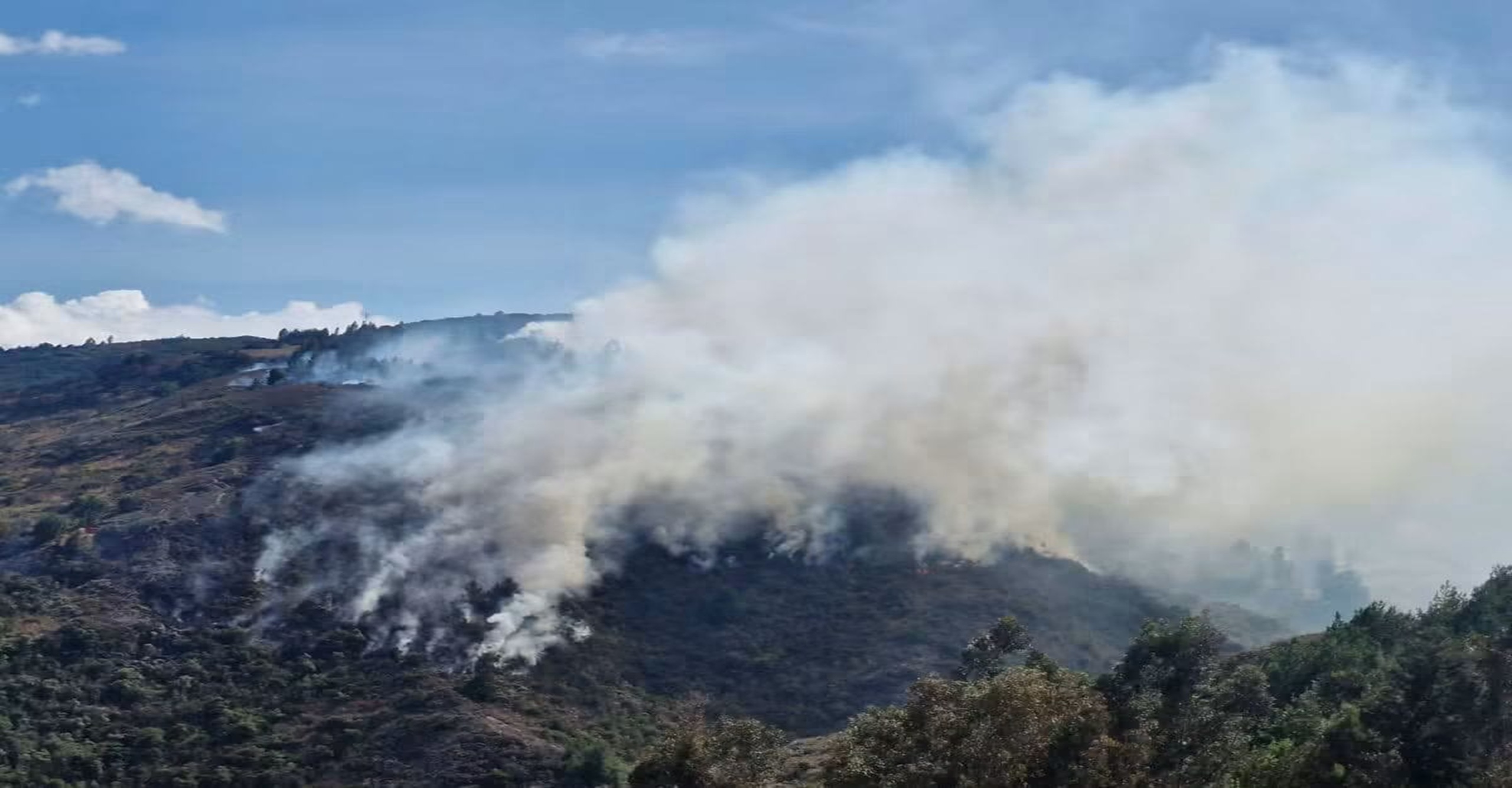 Bomberos de Firavitoba y Tibasosa atienden incendio forestal en la vereda Toledo