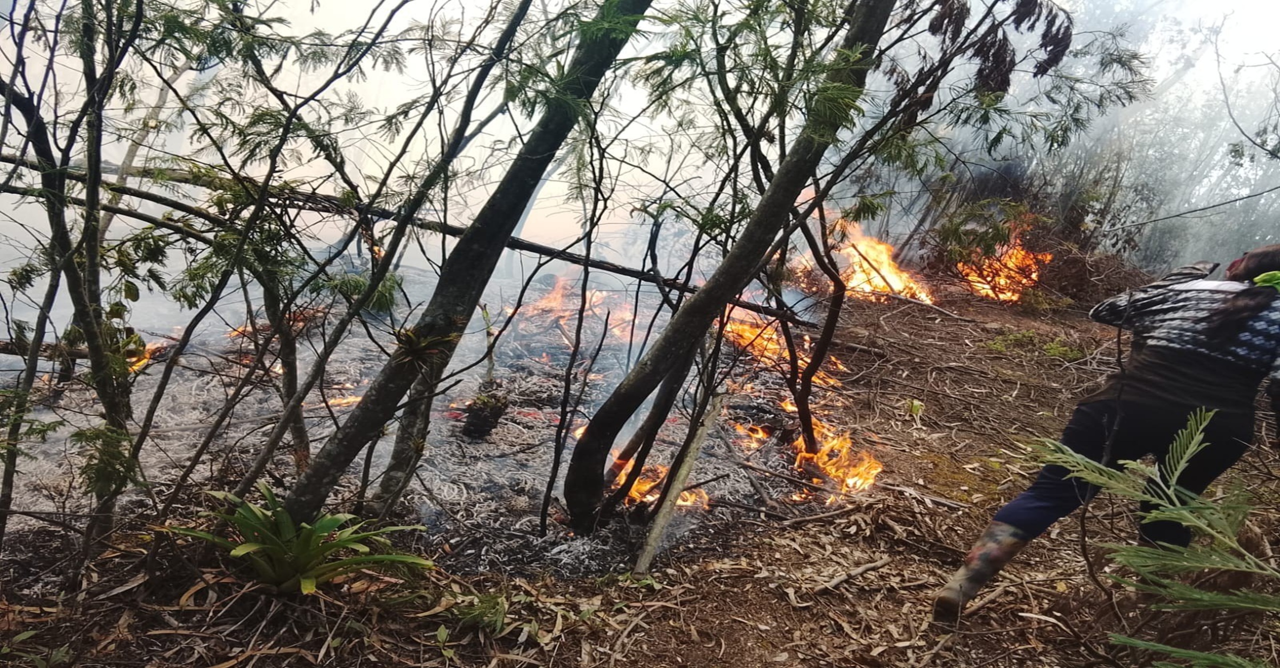 Bomberos de Ubaté refuerzan operación para atender incendio forestal en Alto de los Caballeros