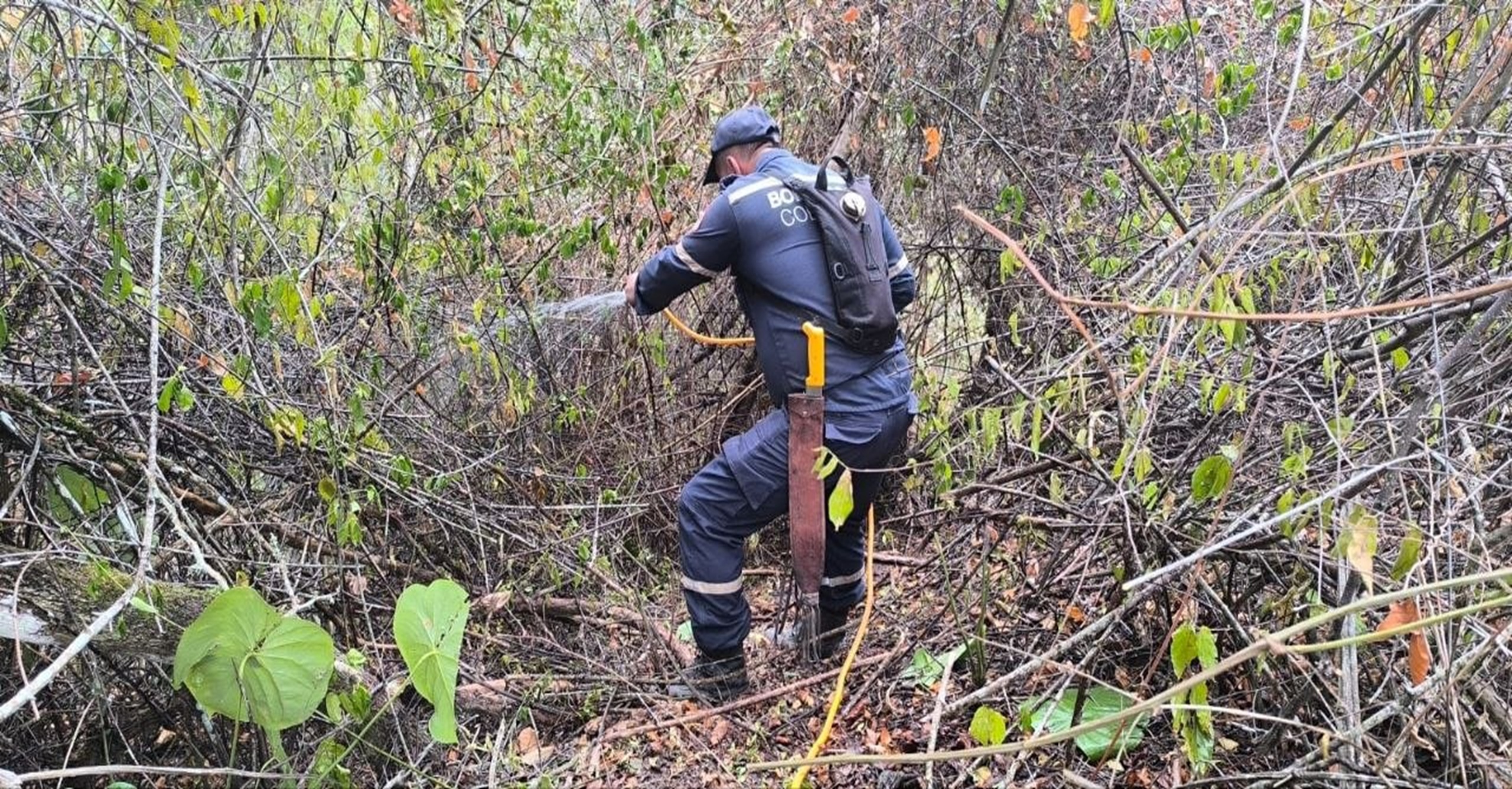 Trabajo articulado permitió liquidar incendio forestal que afectó 38 hectáreas