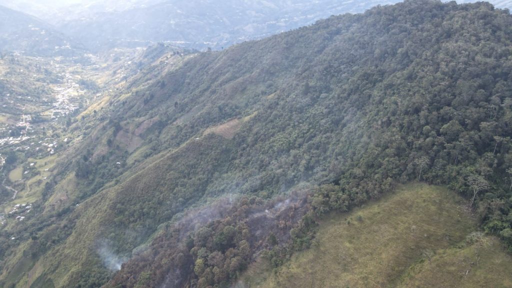 Vista panorámica de las laderas del sector Las Violetas, con áreas de cobertura vegetal afectadas por el incendio.