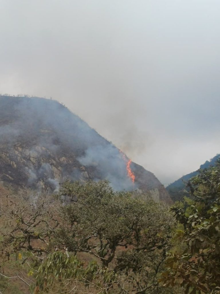 Foco activo del incendio avanza sobre una de las laderas, generando una extensa columna de humo en la zona montañosa.