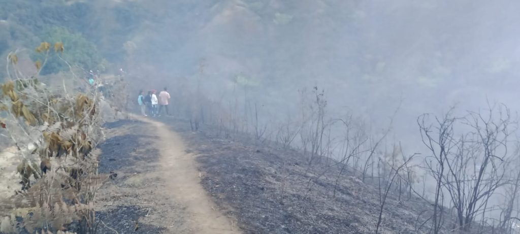 Sendero rodeado de vegetación quemada y humo después del paso del incendio.