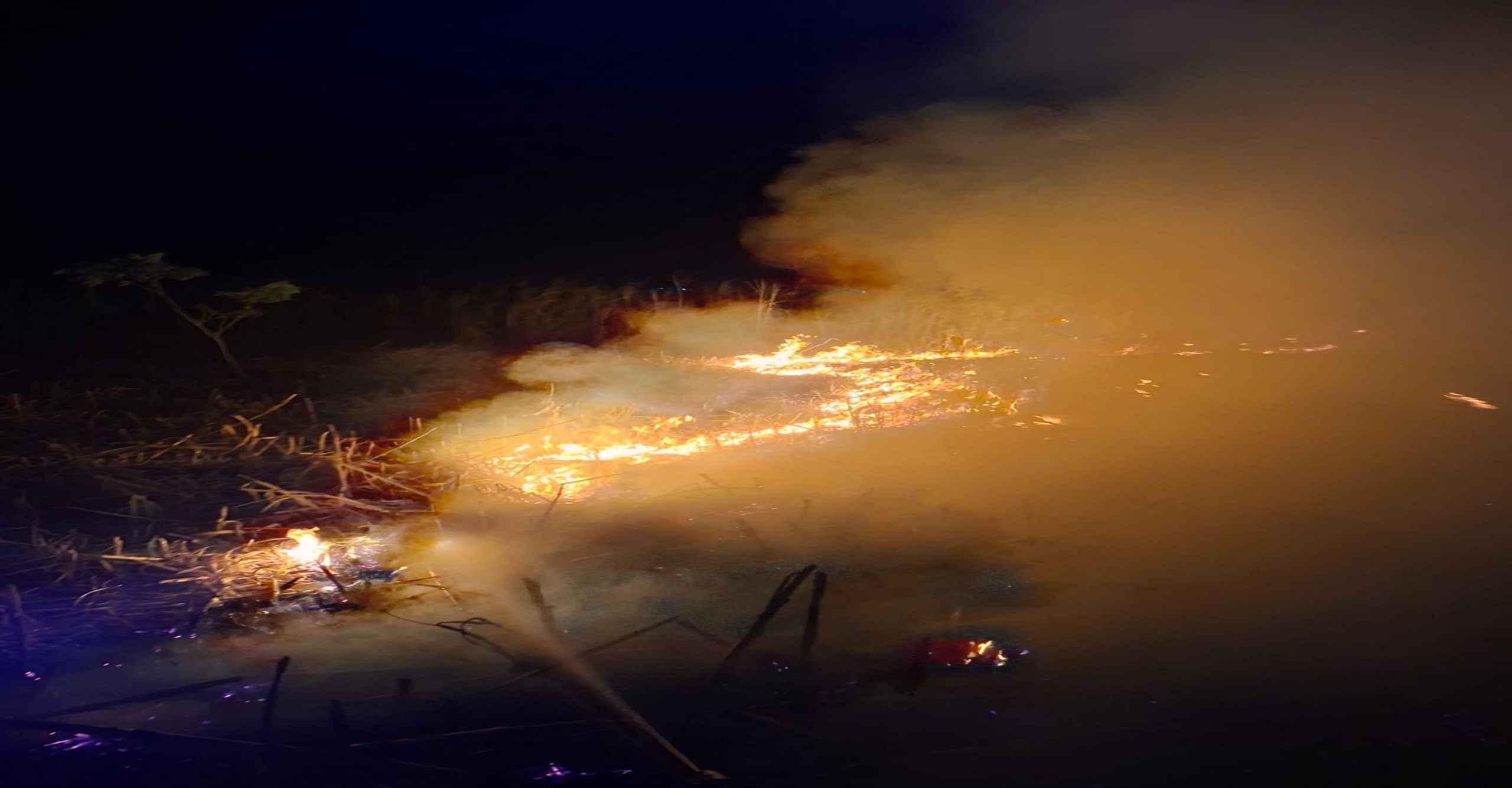 Liquidado incendio forestal que afectó 15 hectáreas en Campoalegre