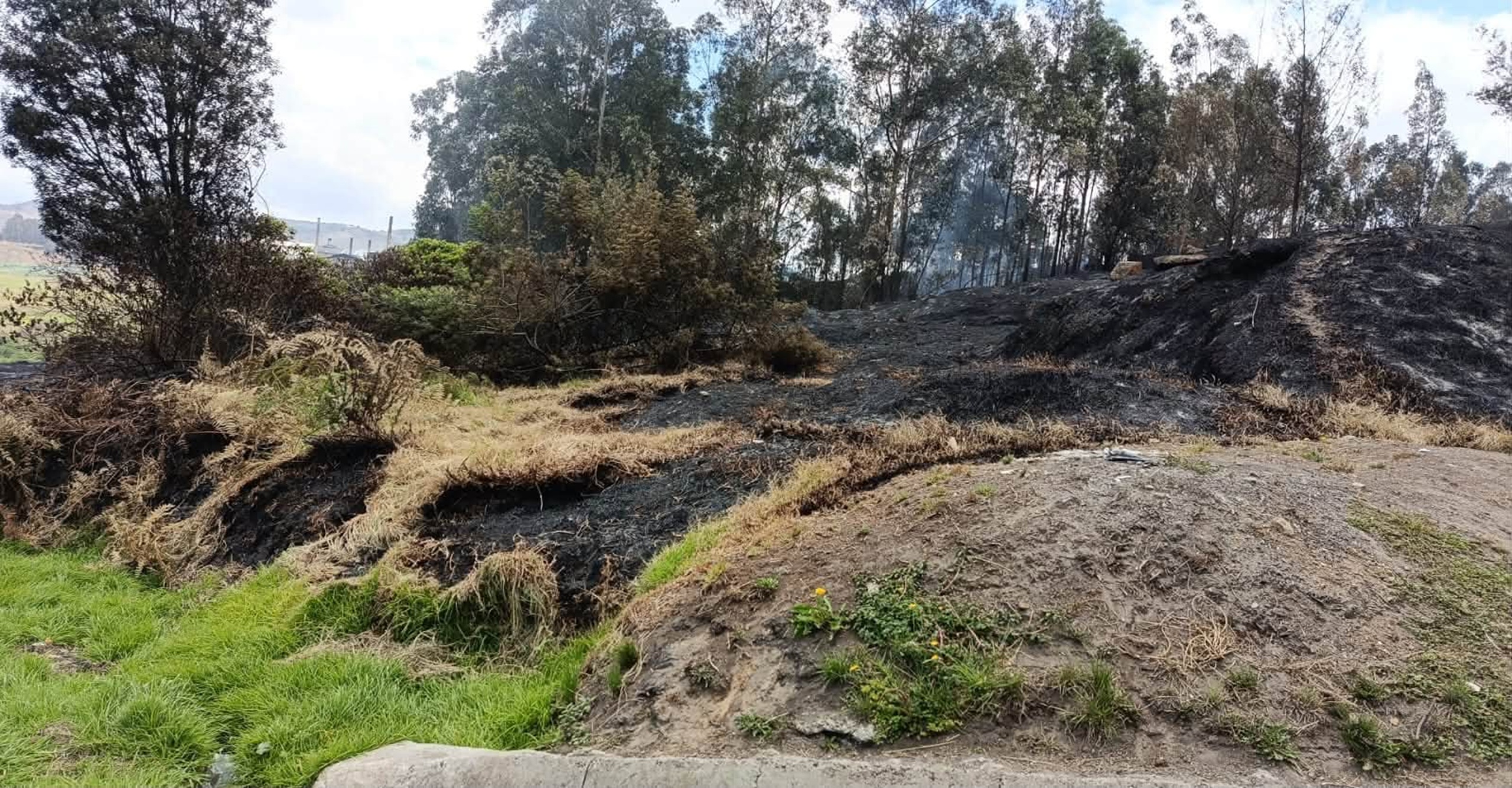 Trabajo articulado permitió atender incendio forestal en el sector de Canoas