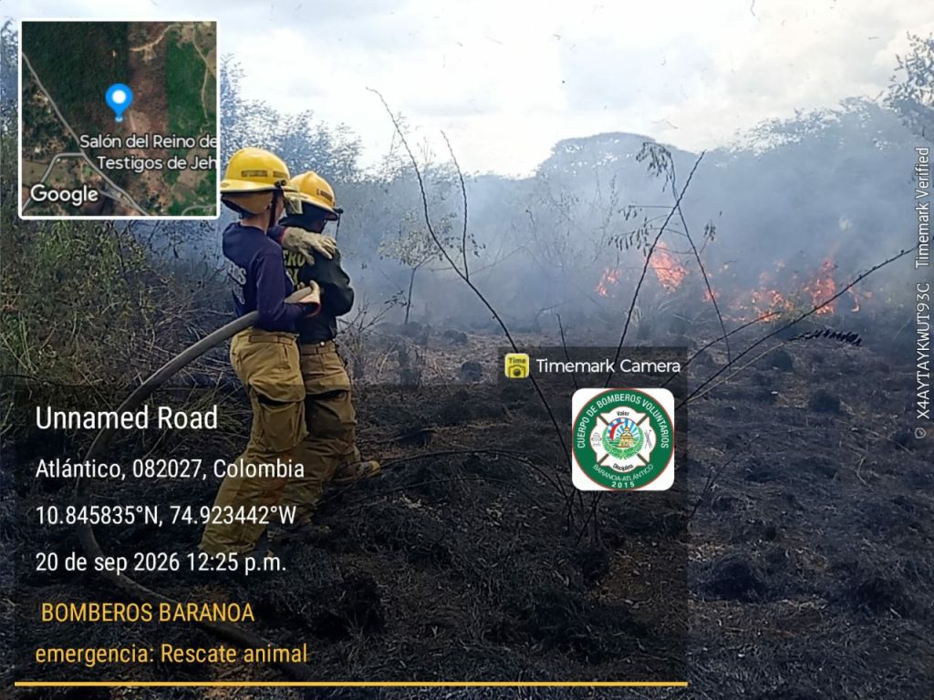Unidad bomberil trabaja sobre el terreno quemado para controlar los focos activos y evitar la propagación de las llamas.