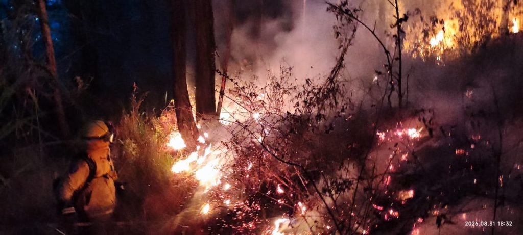 Bombero controla las llamas durante una operación nocturna