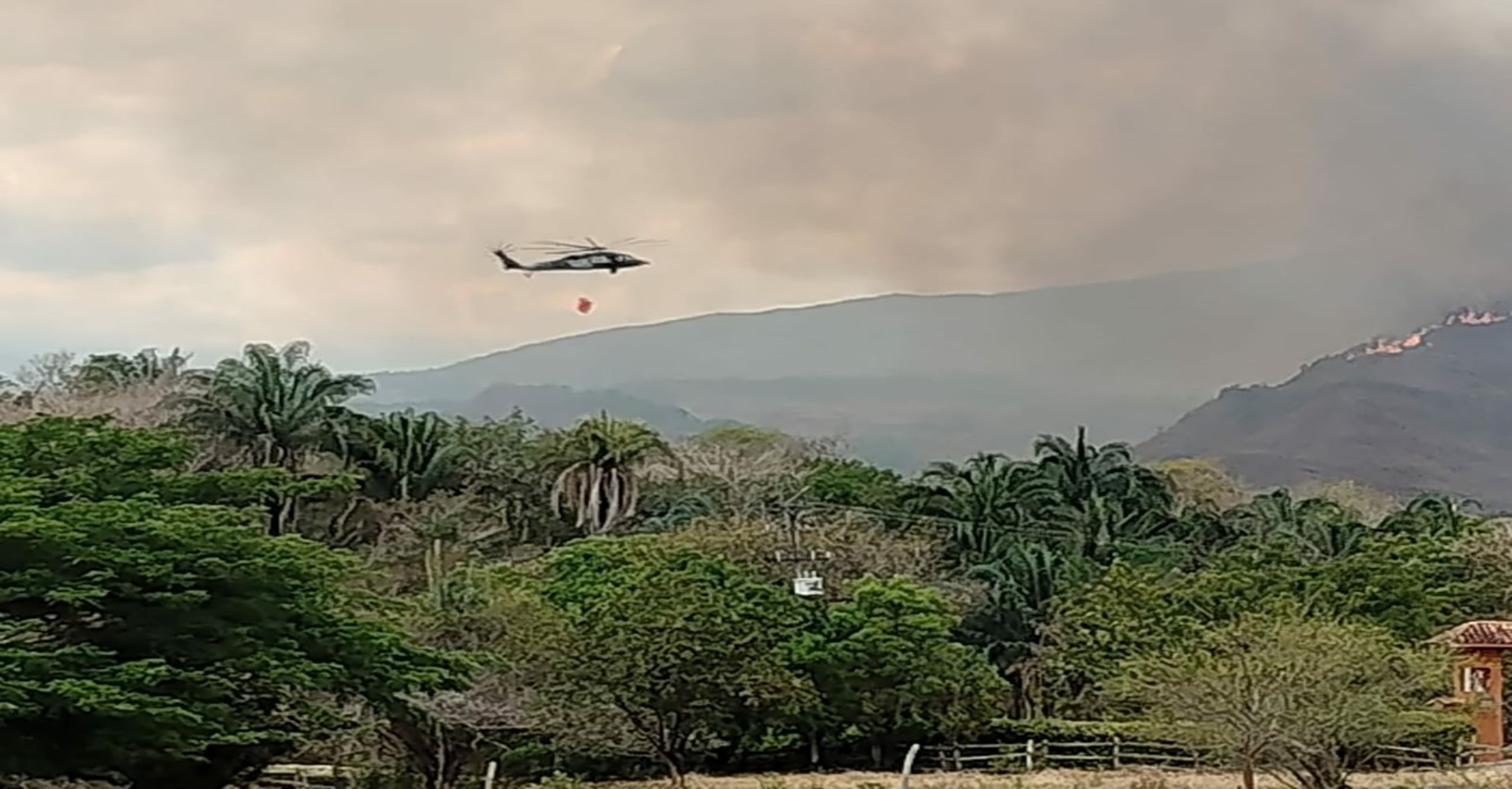 Bomberos de Nilo atienden incendio forestal que ha afectado cerca de 150 hectáreas