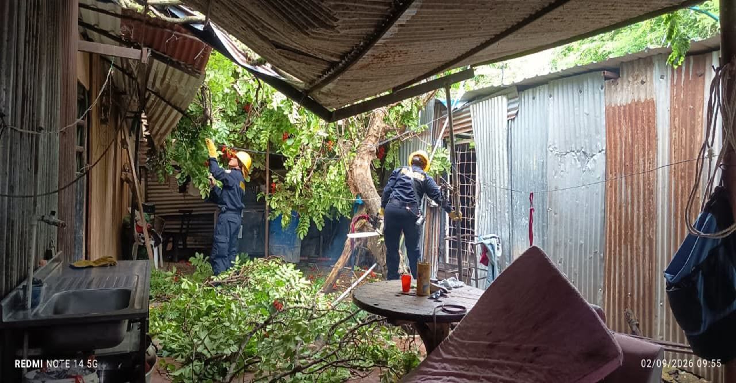 Bomberos de Yopal atendieron ocho emergencias por caída de árboles tras fuertes lluvias